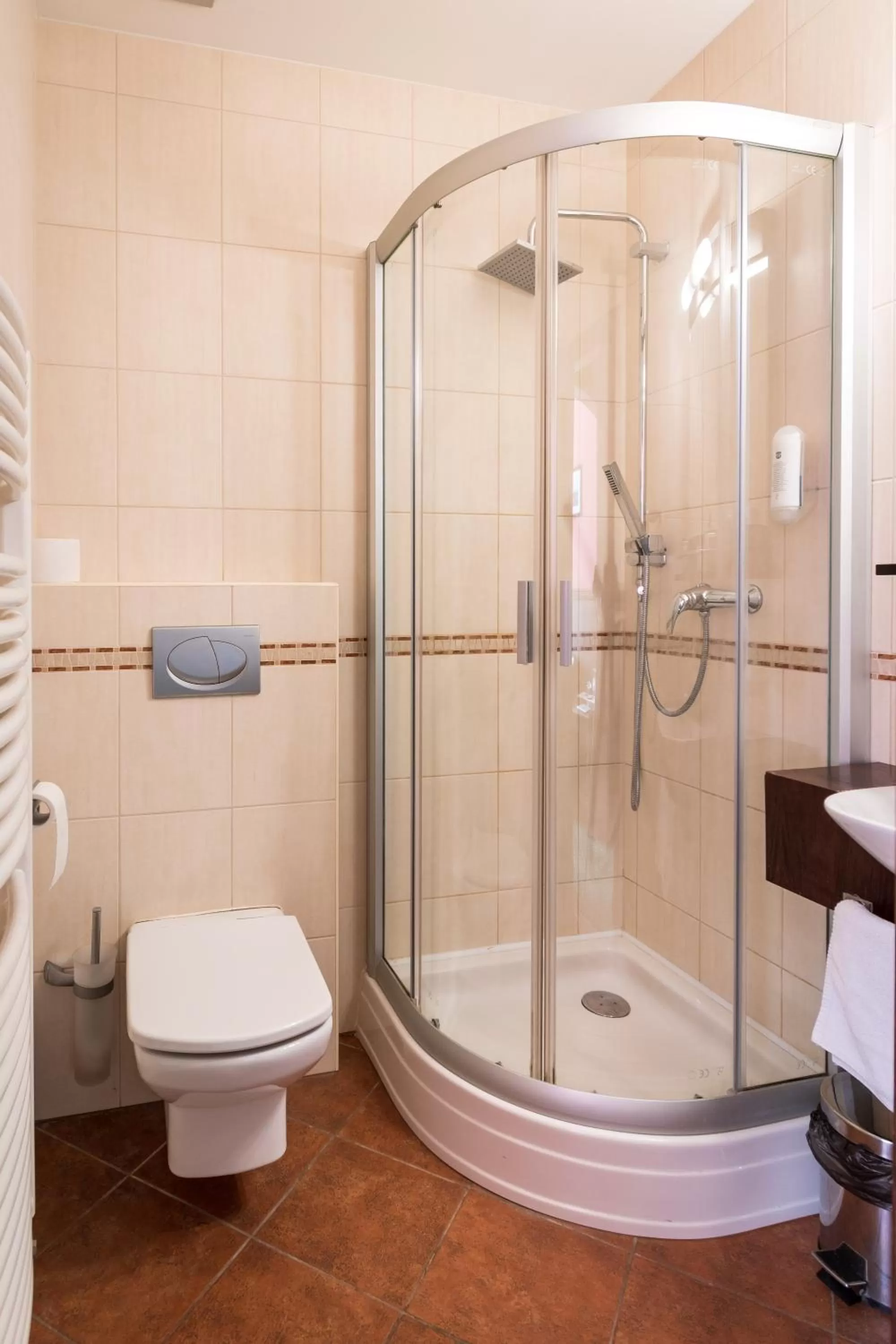 Bathroom in Hotel U Hejtmana Šarovce