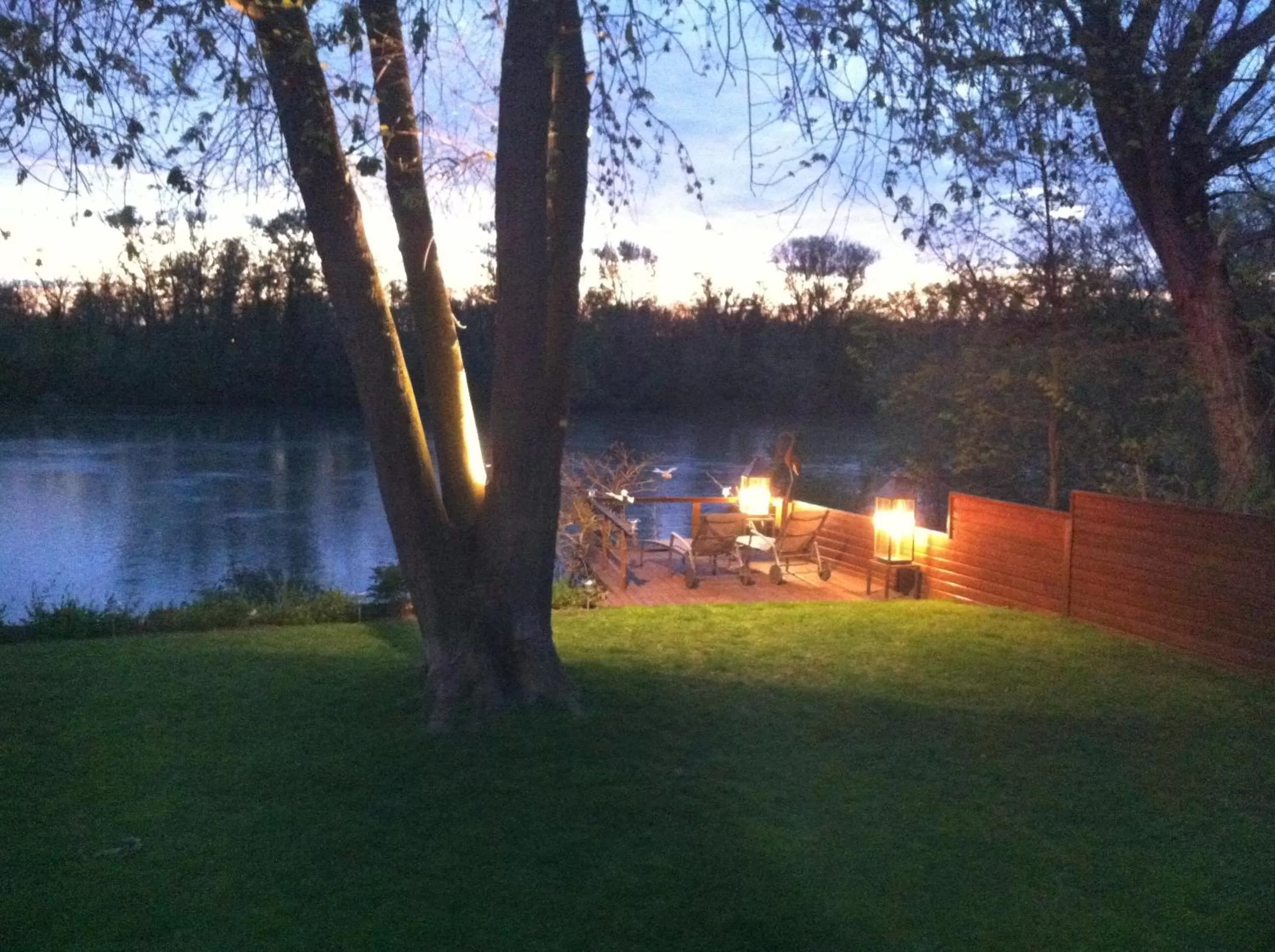 Garden in B&B Garonnella