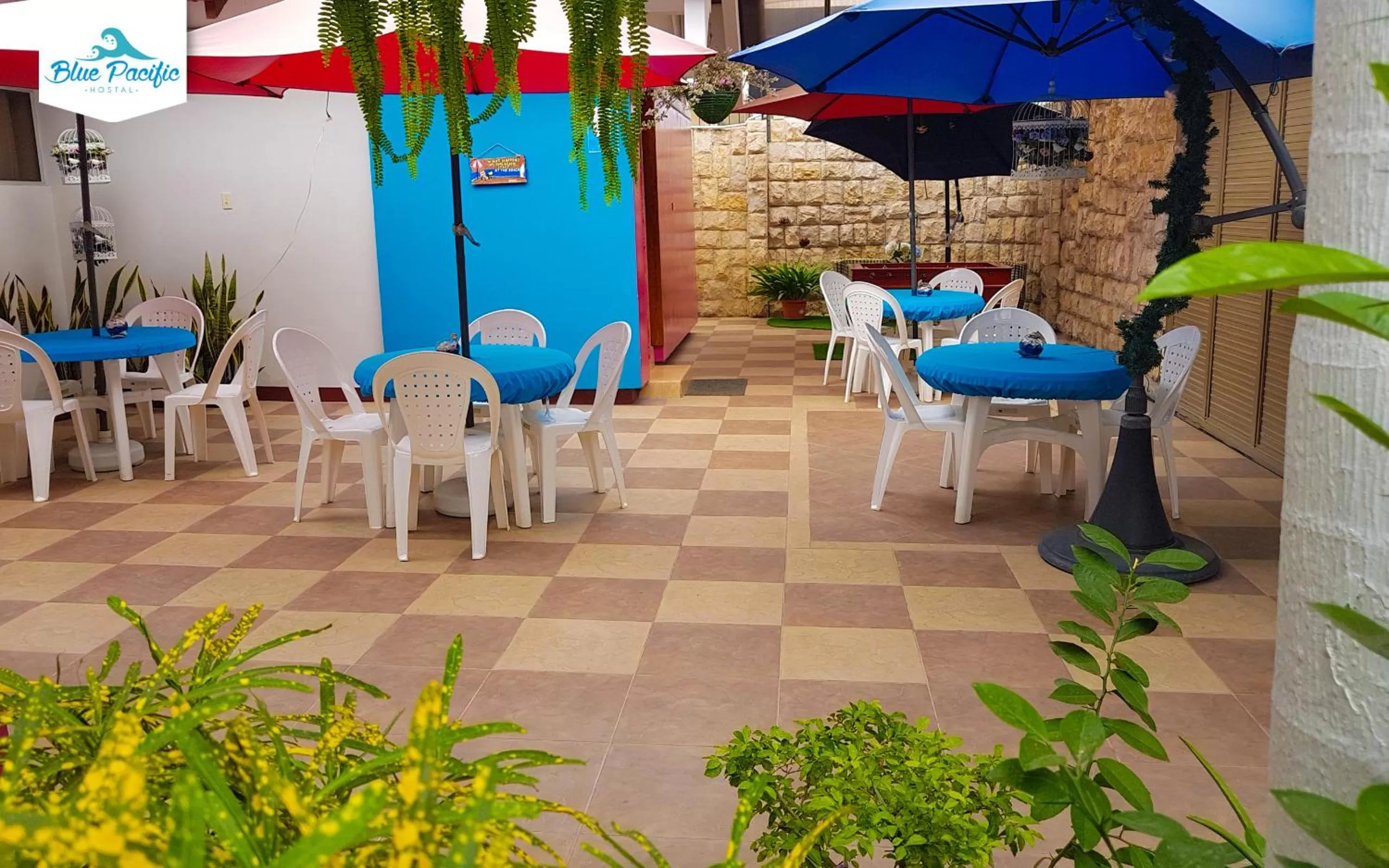 Garden, Restaurant/Places to Eat in Hostal Blue Pacific
