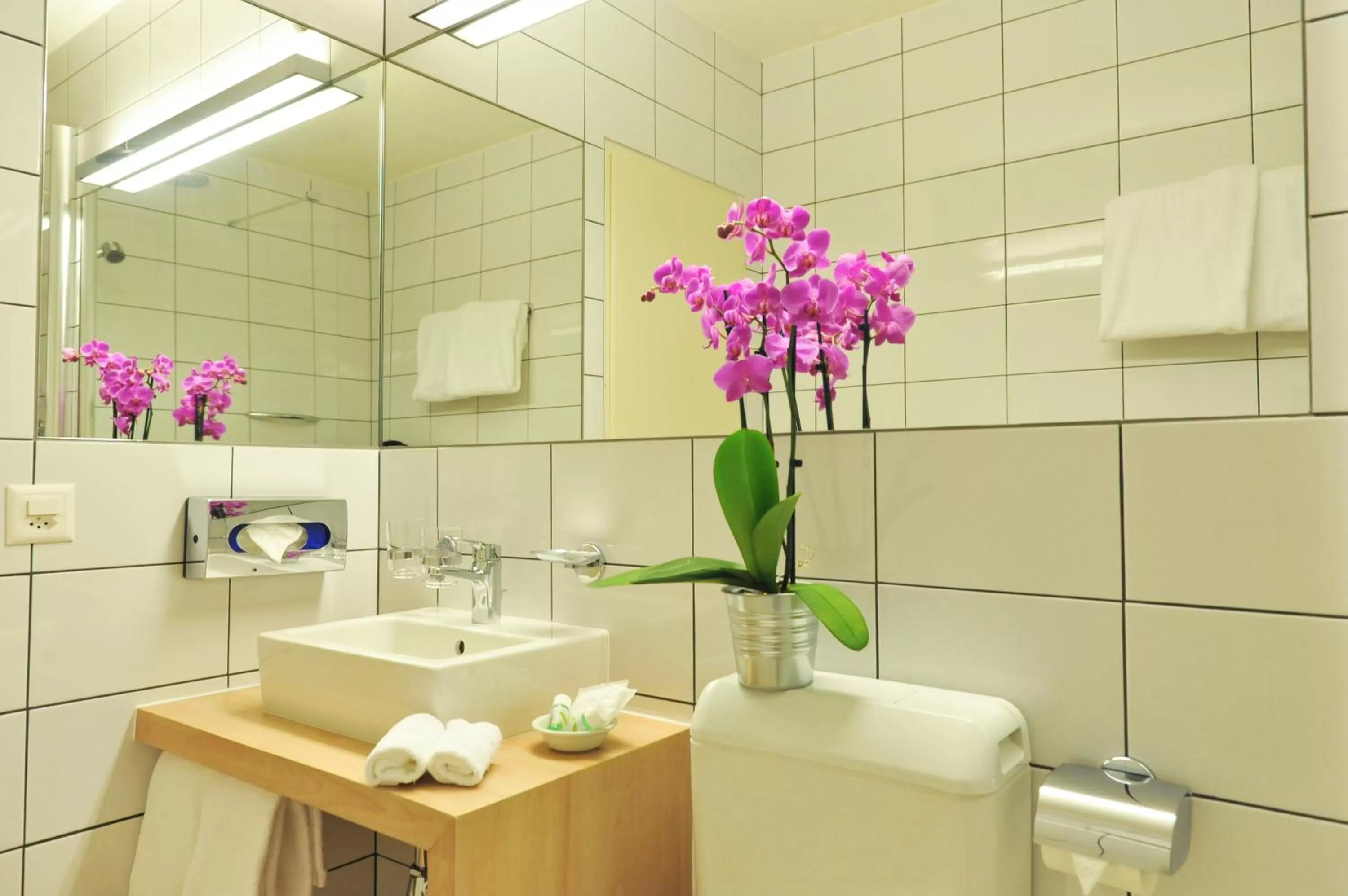 Bathroom in Hotel des Alpes