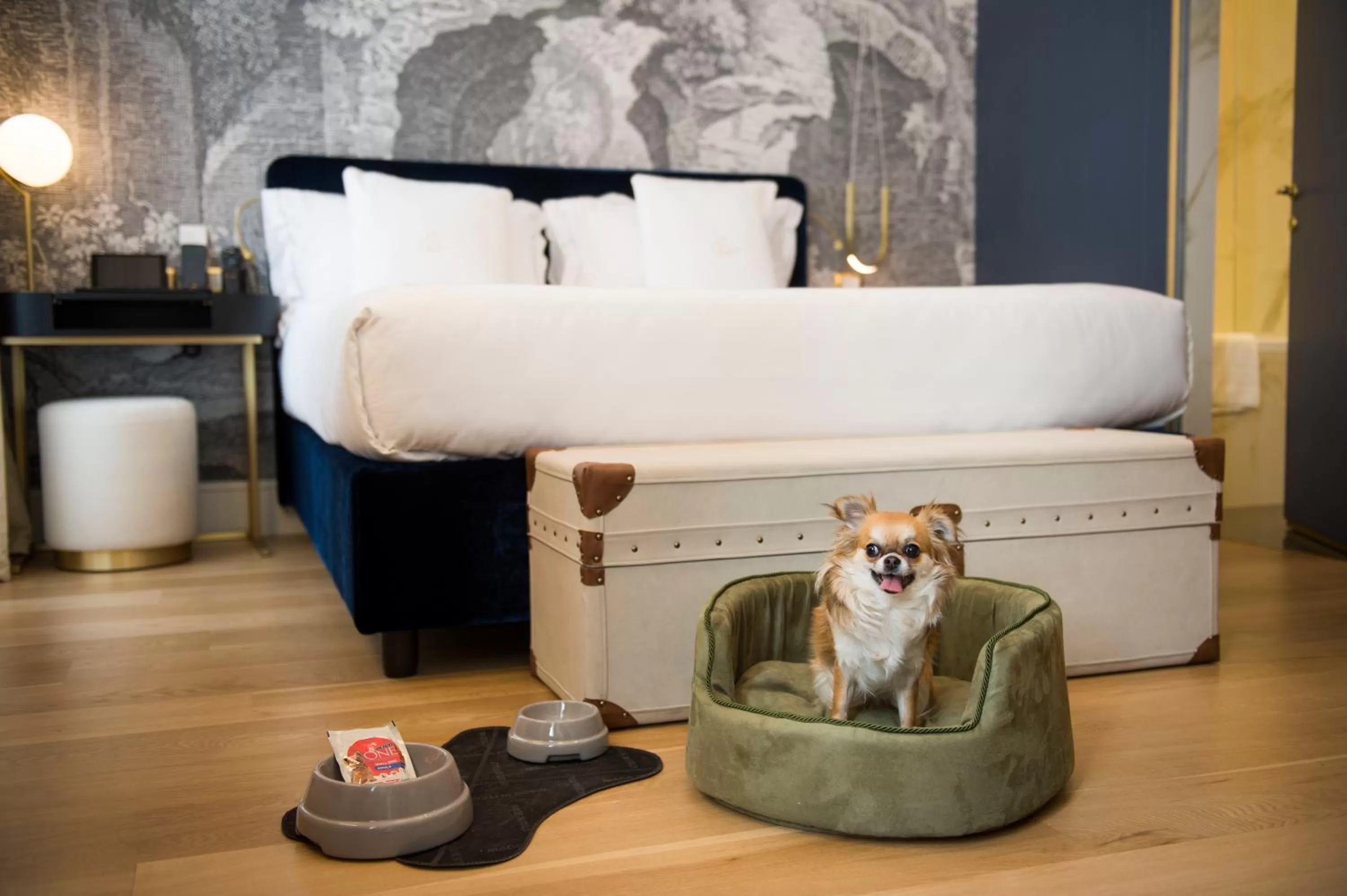Pets, Bed in Elizabeth Unique Hotel | a Member of Design Hotels™