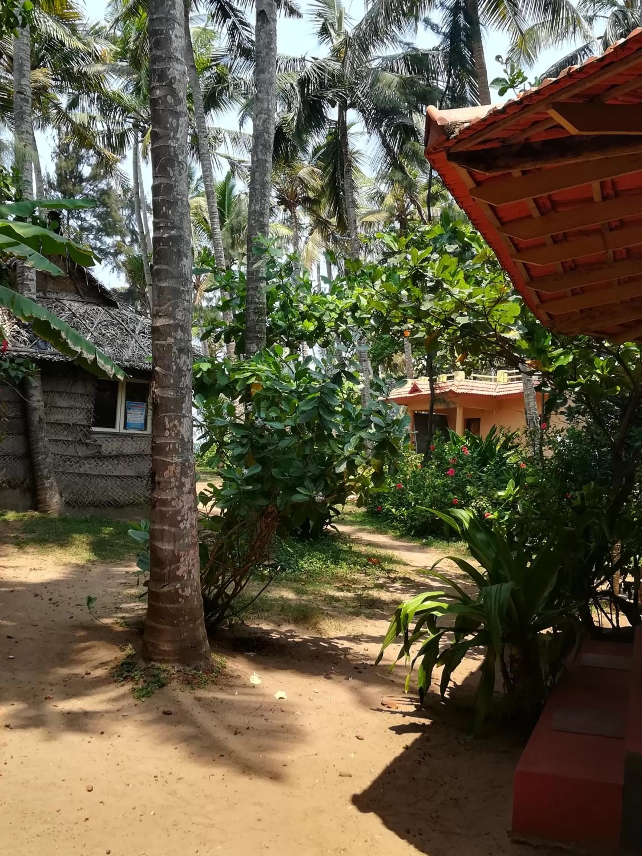 Garden in Sukriti beach Resort