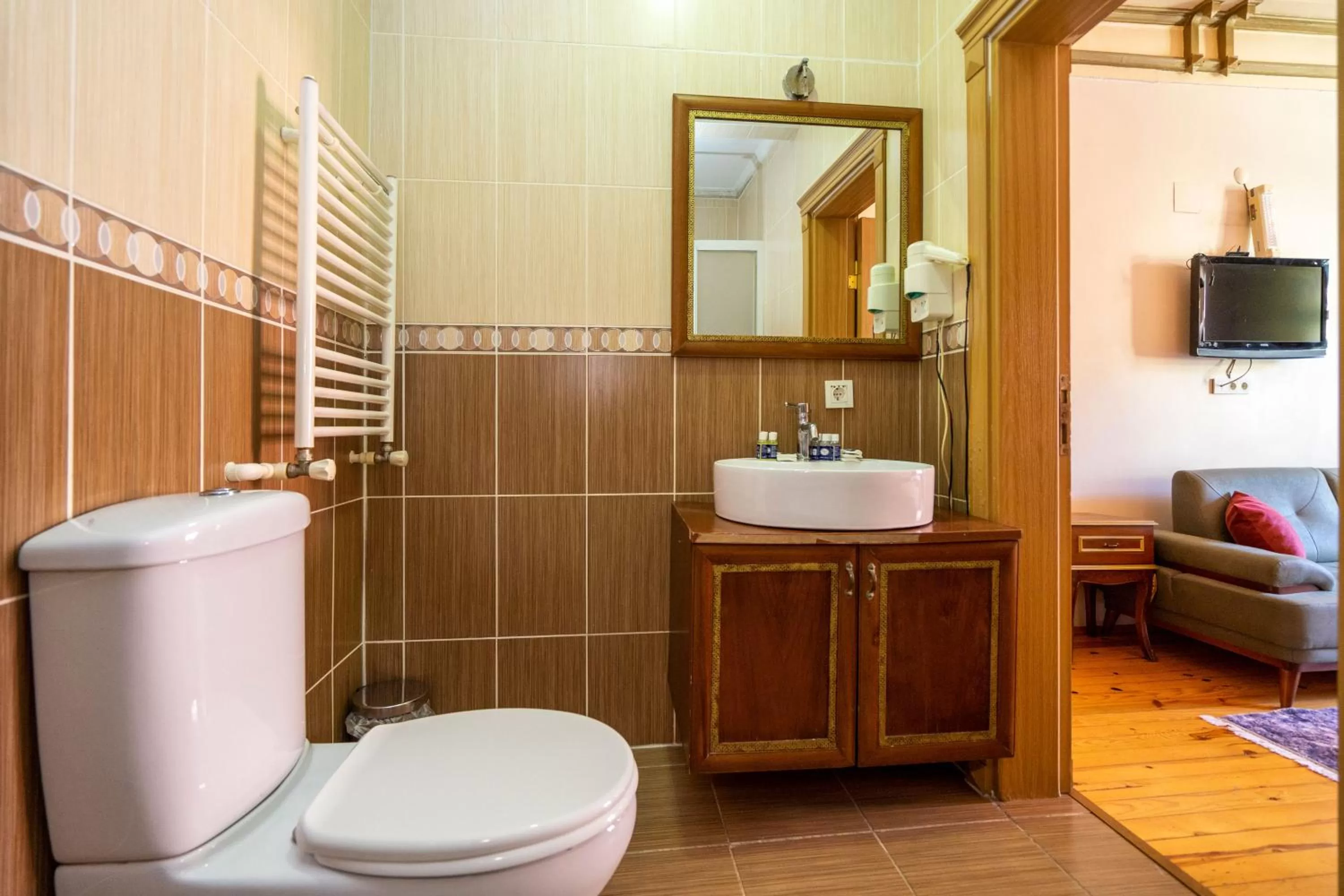 Toilet, Bathroom in Gedikpasa Family