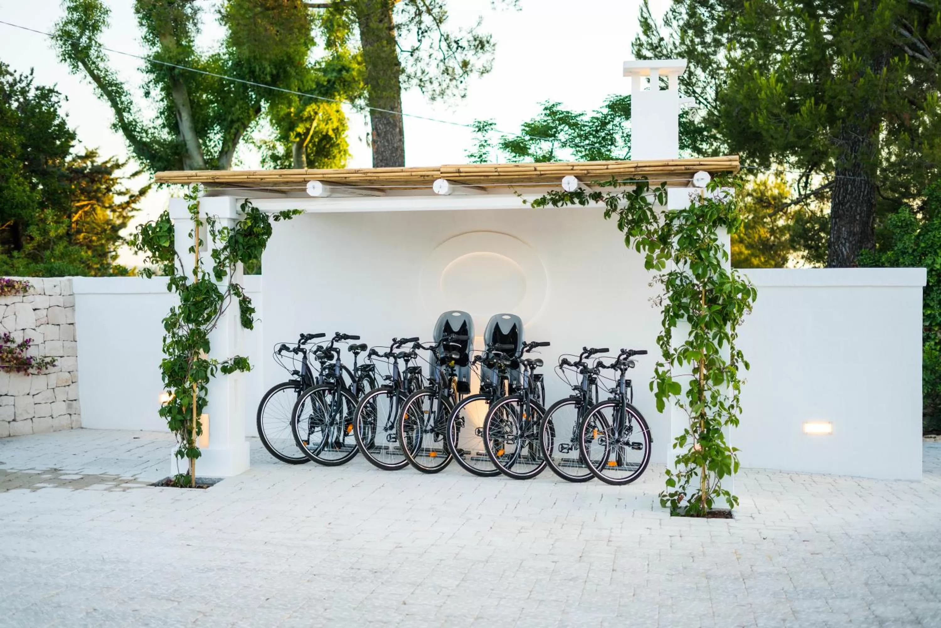 Activities in Borgo Cozzana