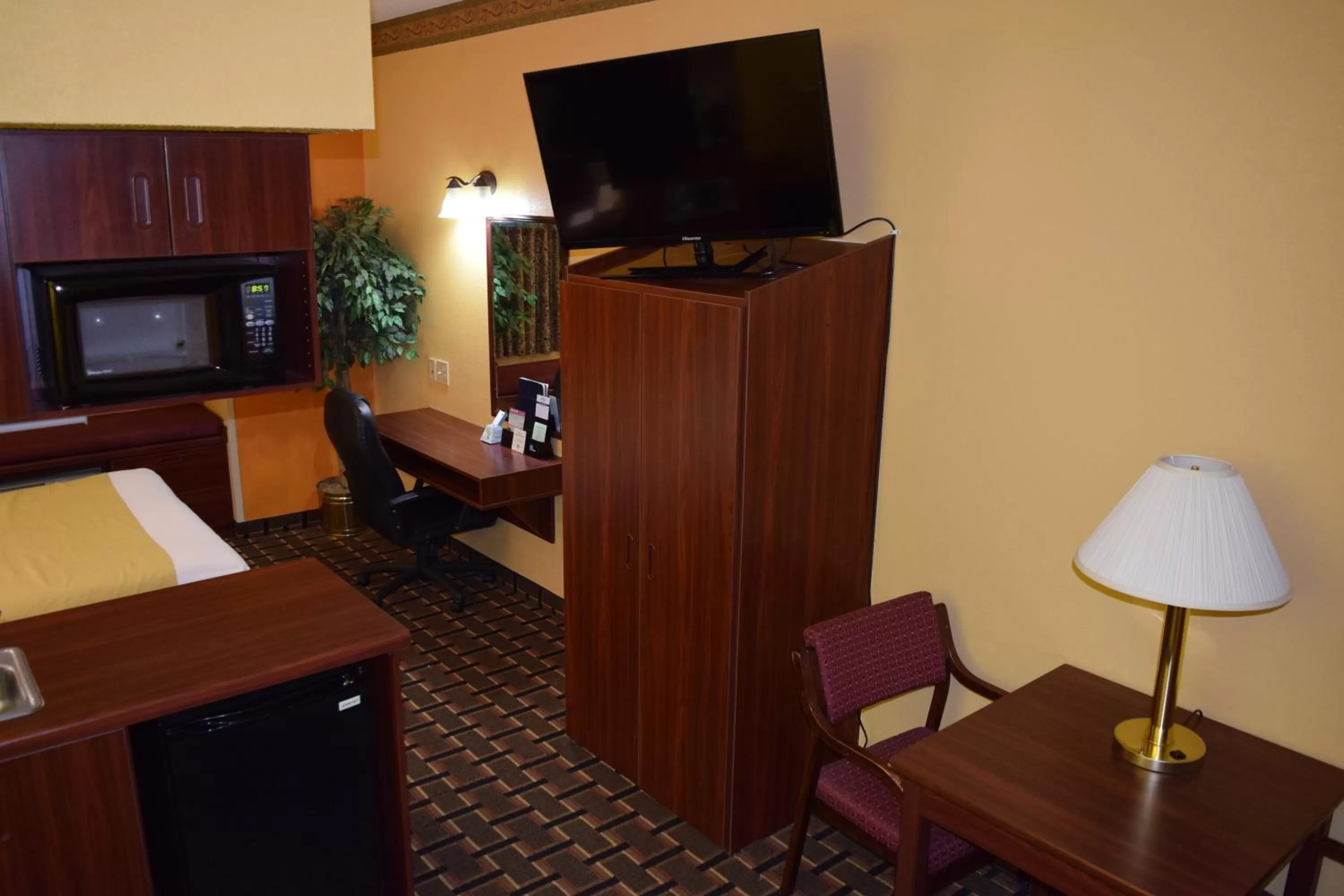 TV and multimedia in Microtel Inn & Suites by Wyndham Rock Hill/Charlotte Area
