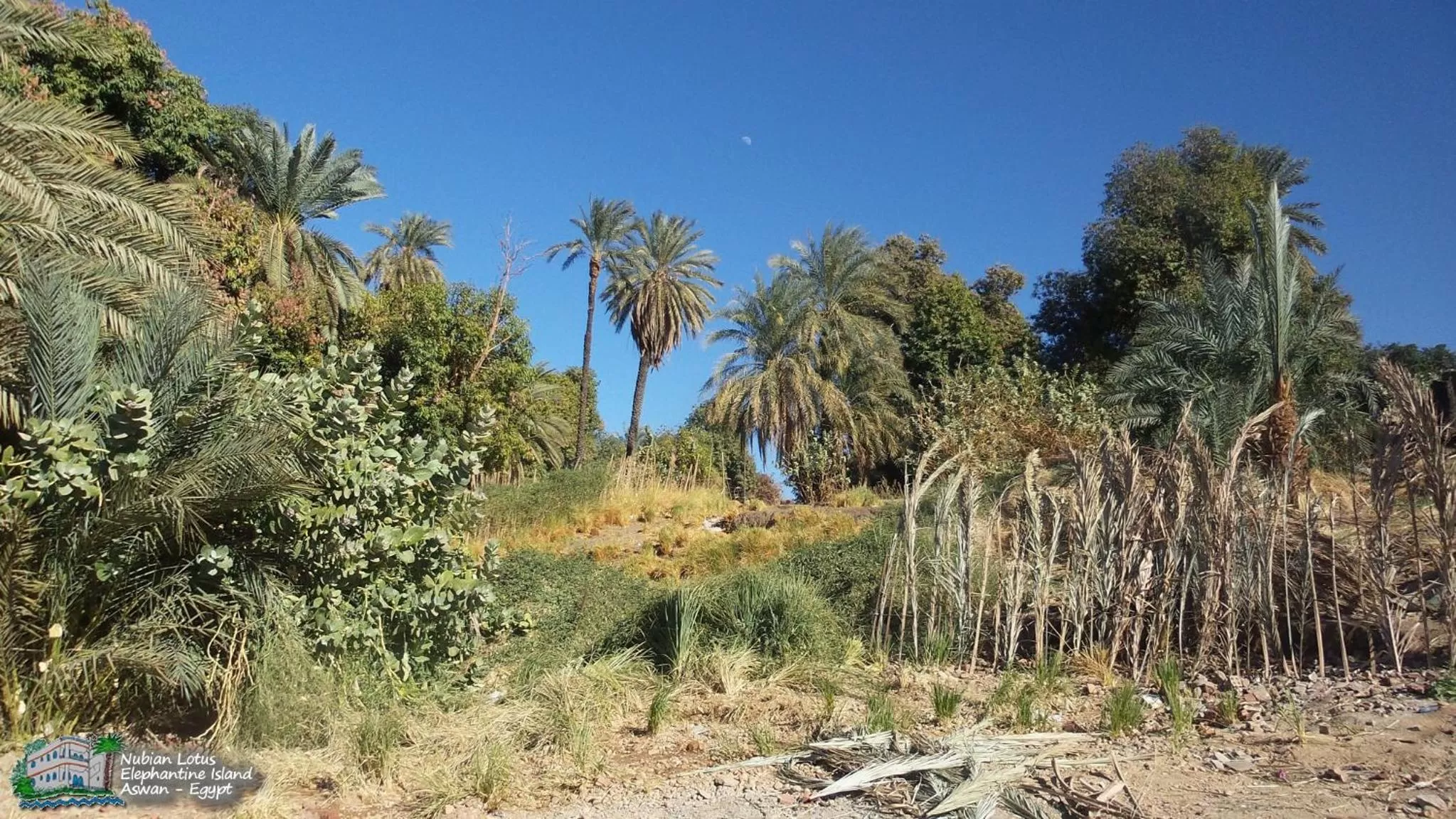 Property building in Nubian Lotus