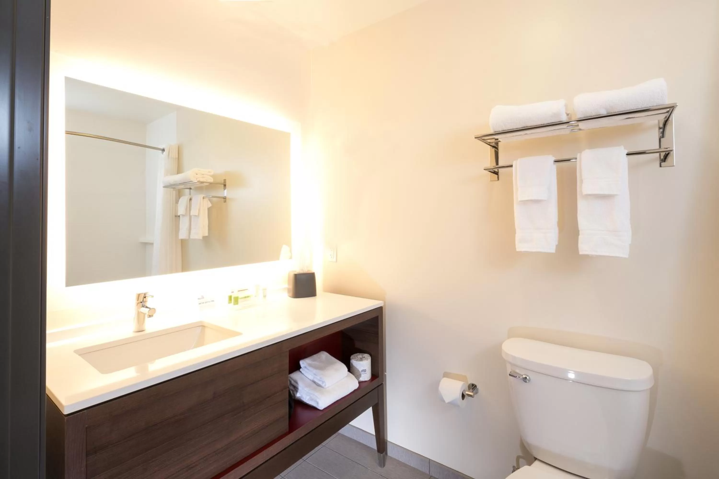 Bathroom in Holiday Inn & Suites Detroit - Troy by IHG