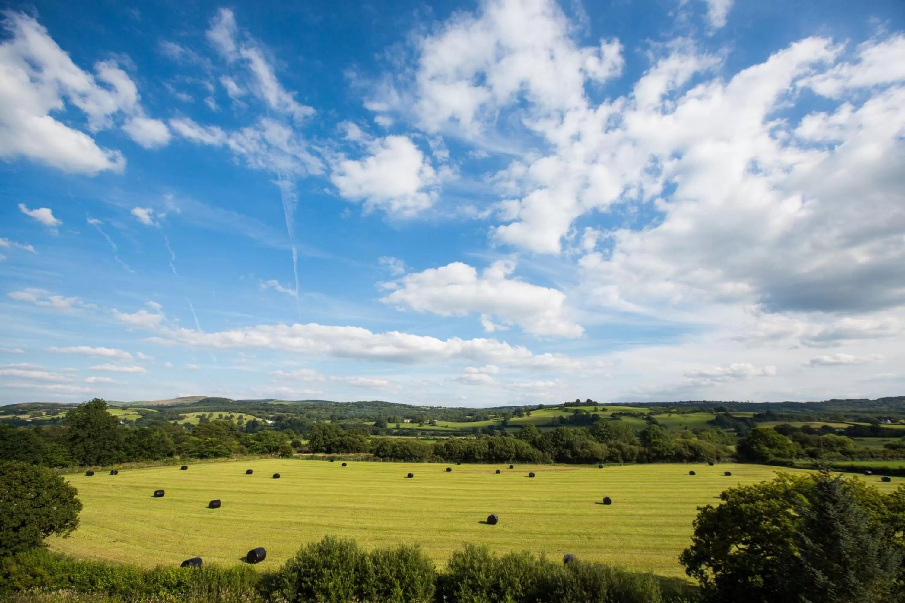 Natural landscape in The Plough Inn