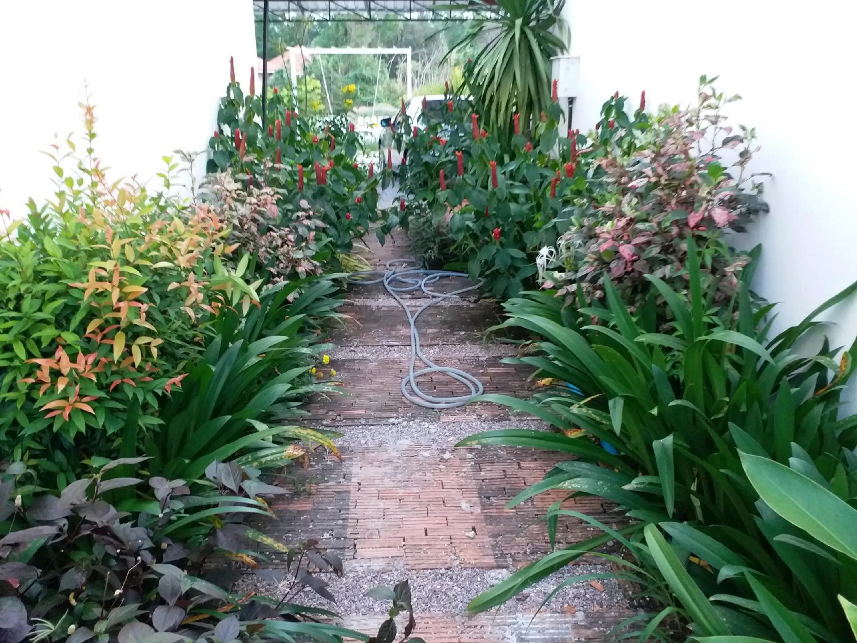 Natural landscape, Garden in Fancy Carp Resort