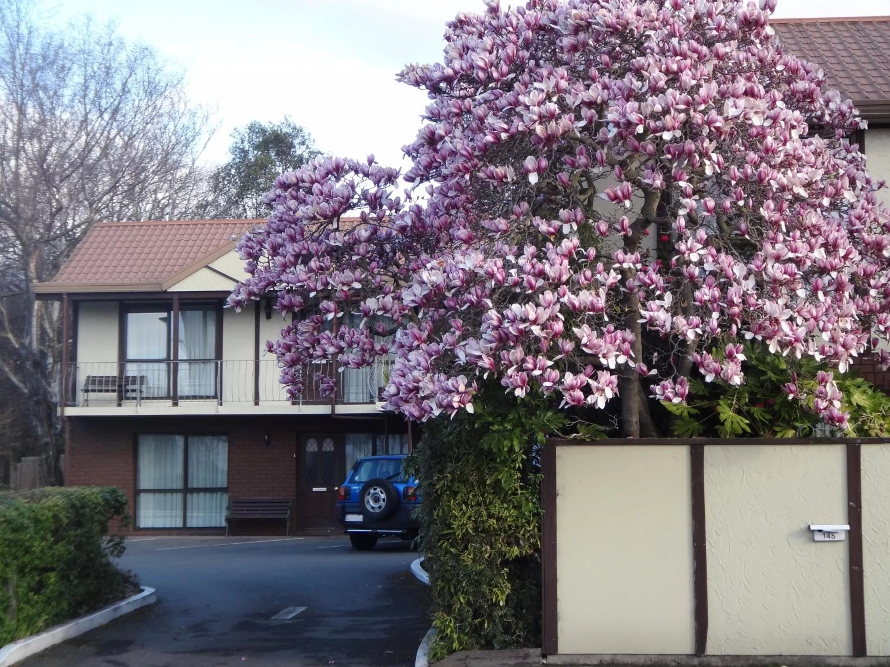 Facade/entrance in Argyle On The Park - Central Christchurch Motel Overlooking Hagley Park