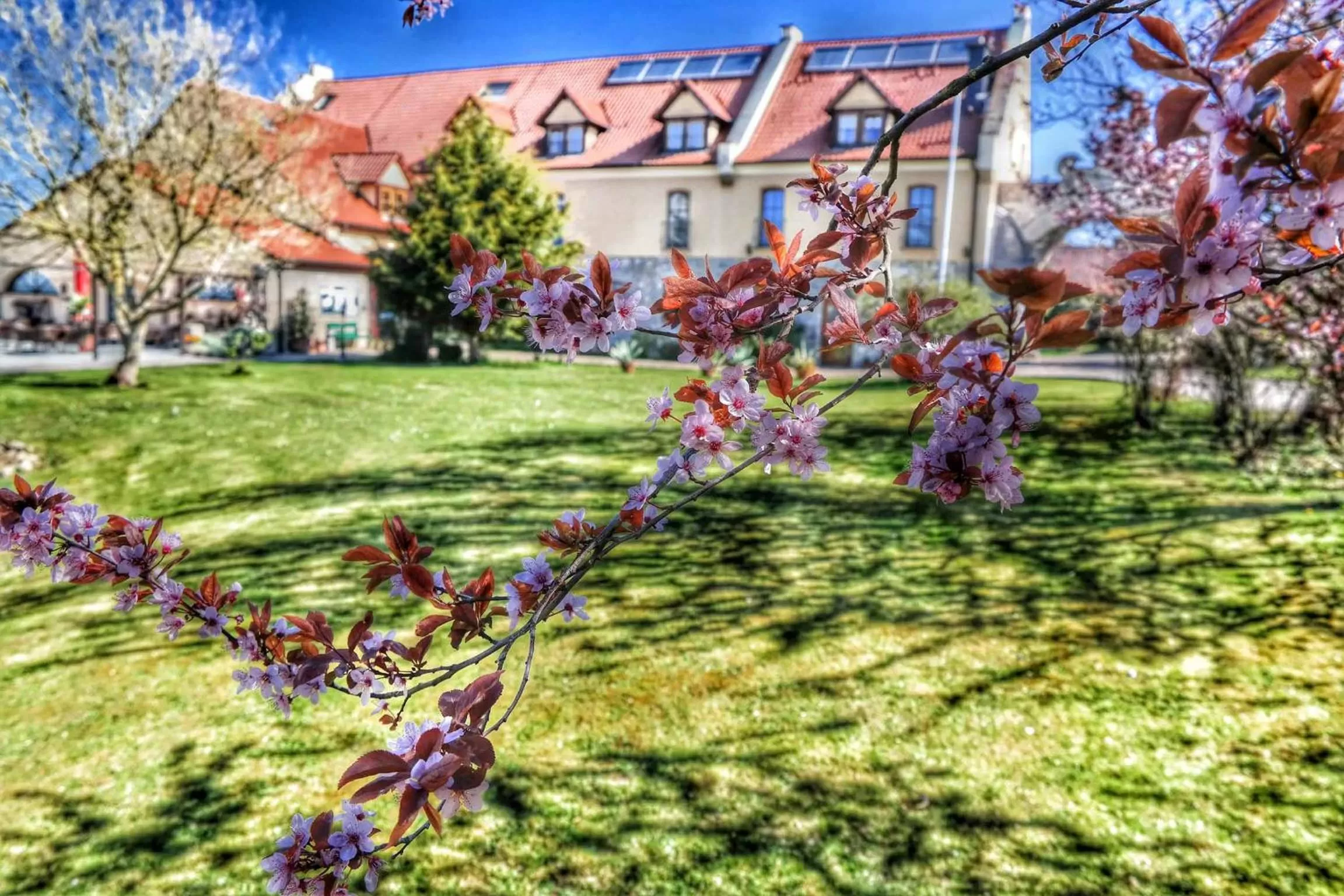 Garden in Hotel und Restaurant Rittergut Kreipitzsch