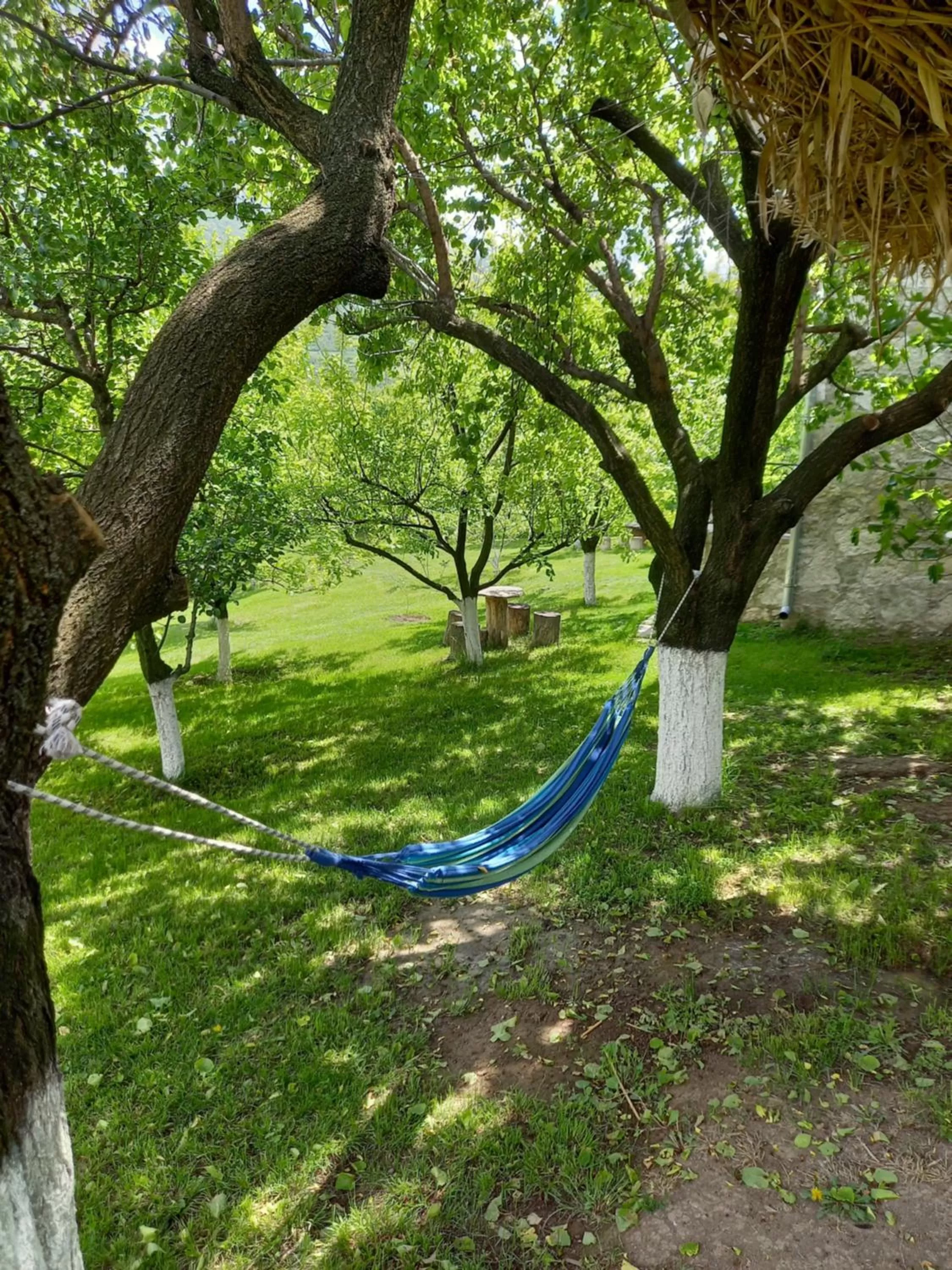 Garden in Guest house Ijevan's Garden