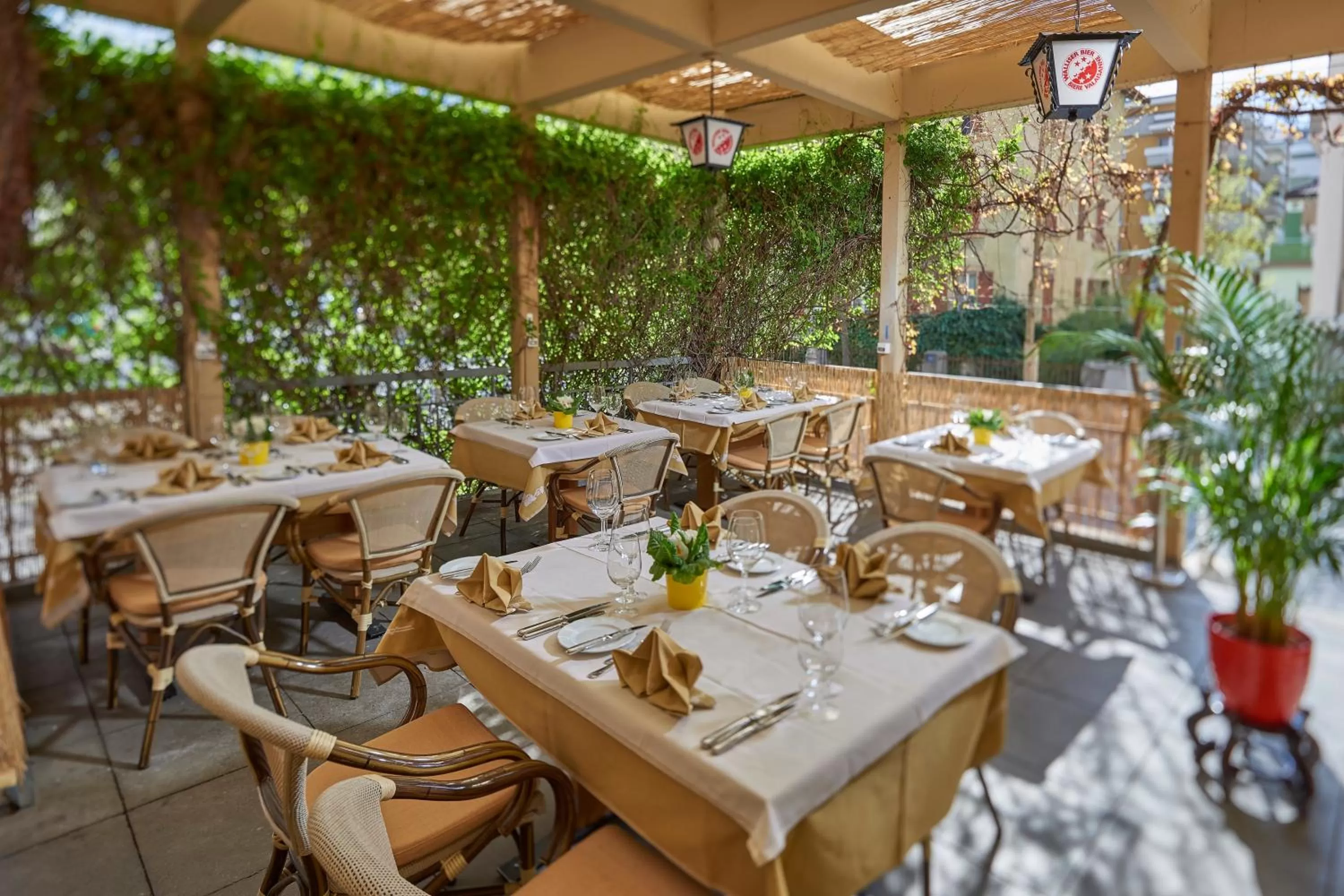 Balcony/Terrace in Hotel Ambassador