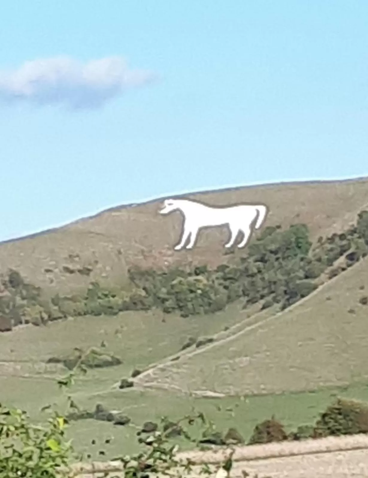 Natural landscape in Santi Bhavana Bed & Breakfast