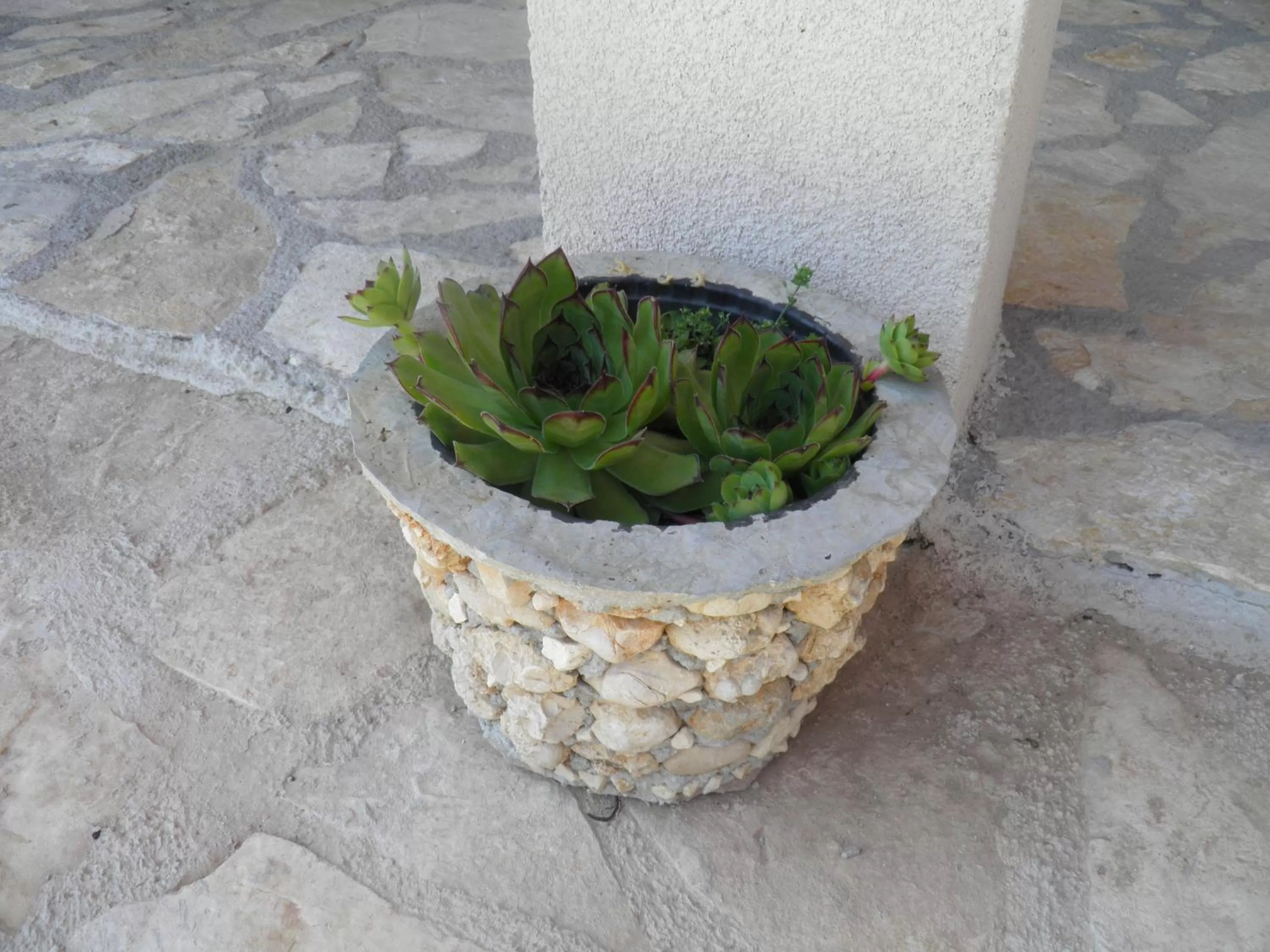 Decorative detail in Agroturizam Duvančić - Konoba dida Marka