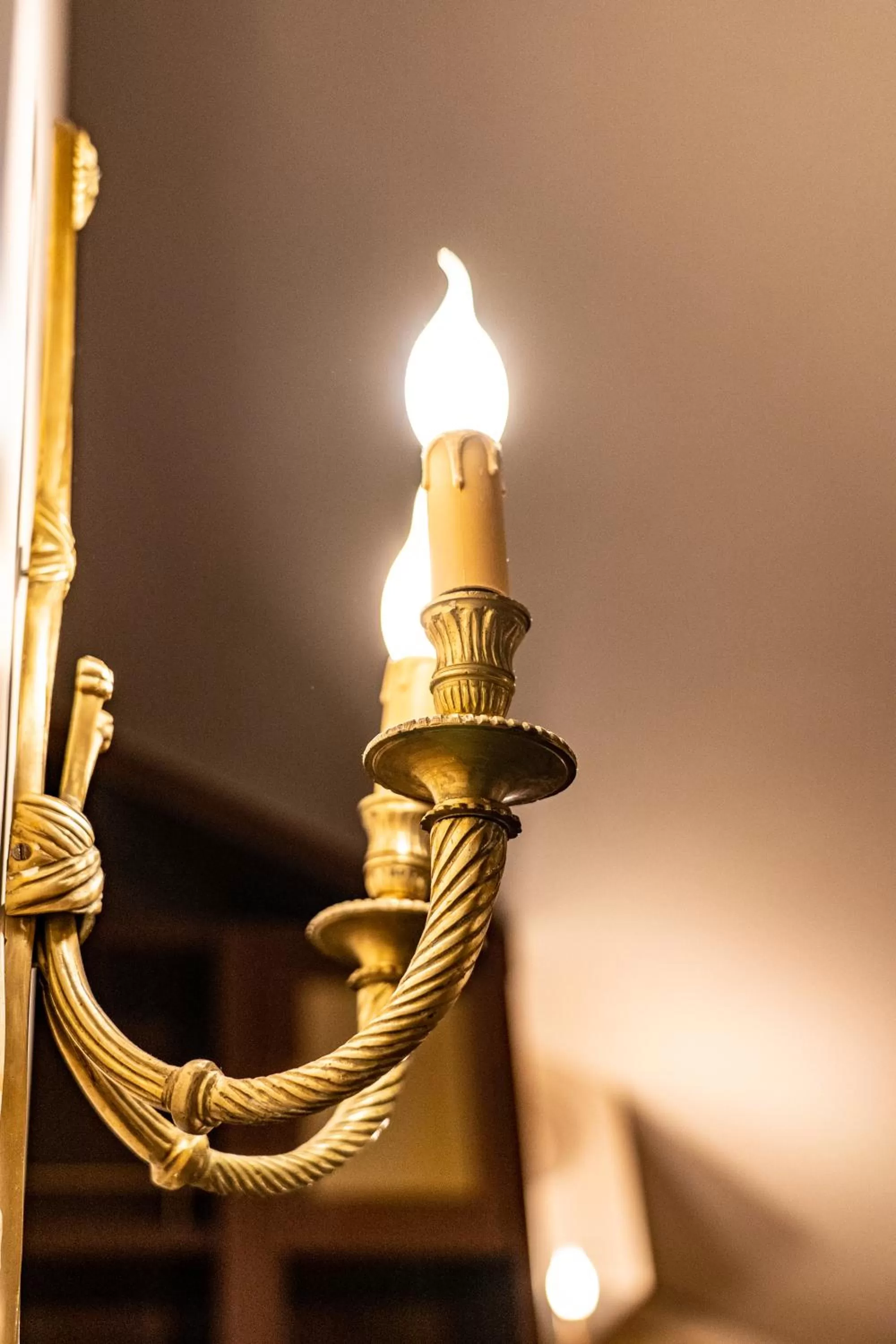 Other in Real Borbone