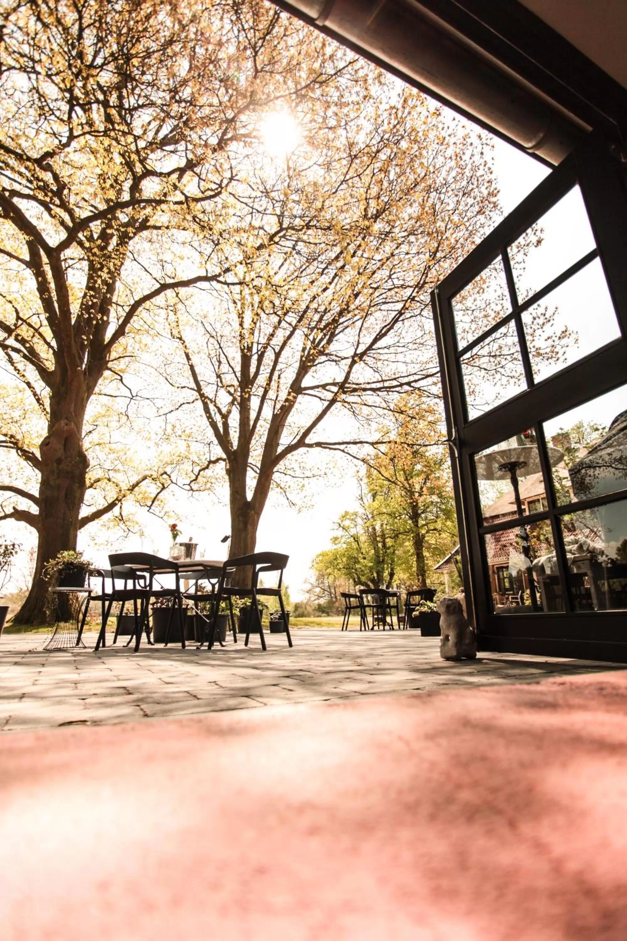 Garden in B&B Hoeve de Haar