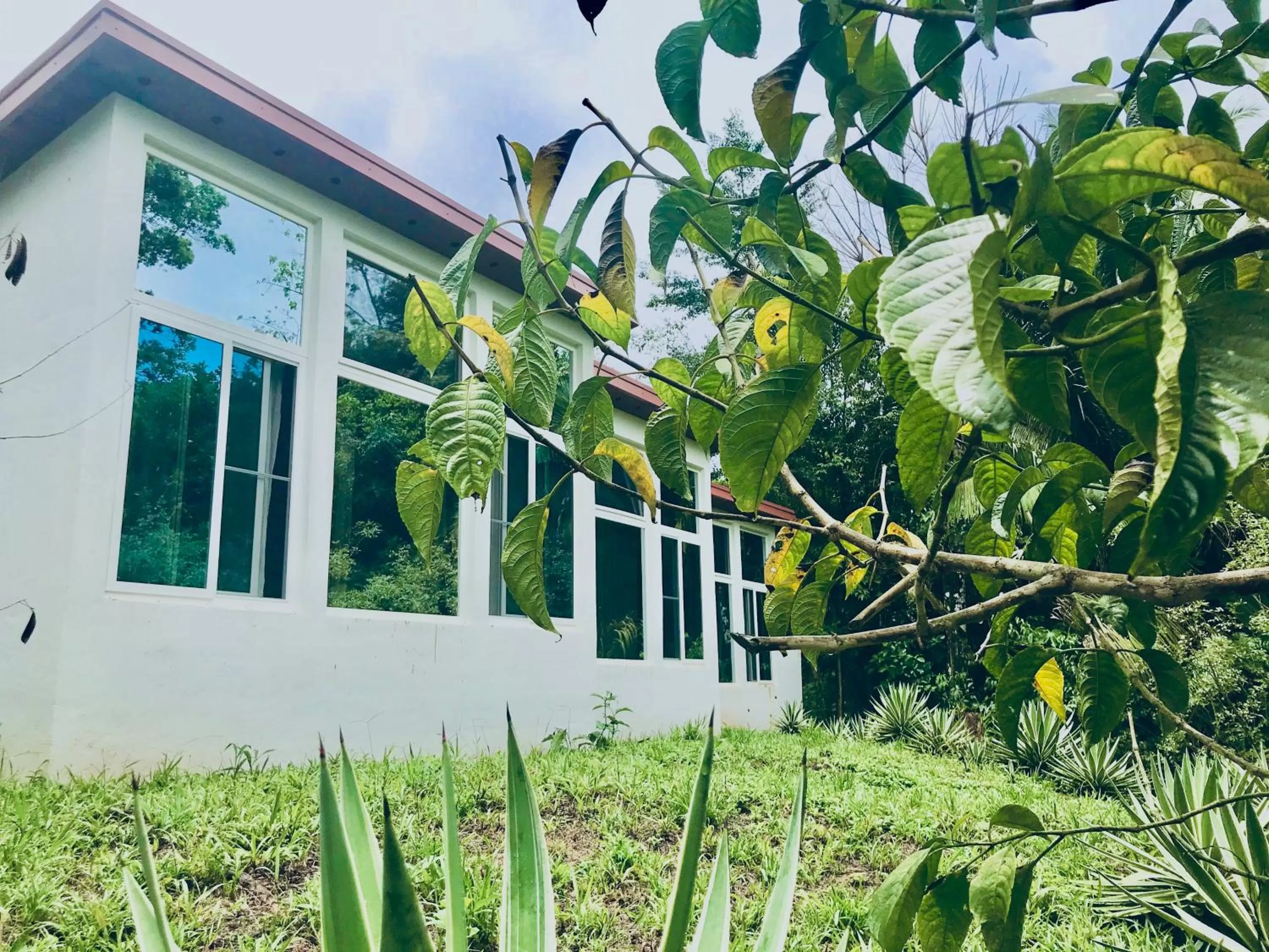 Facade/entrance in Sattva Land