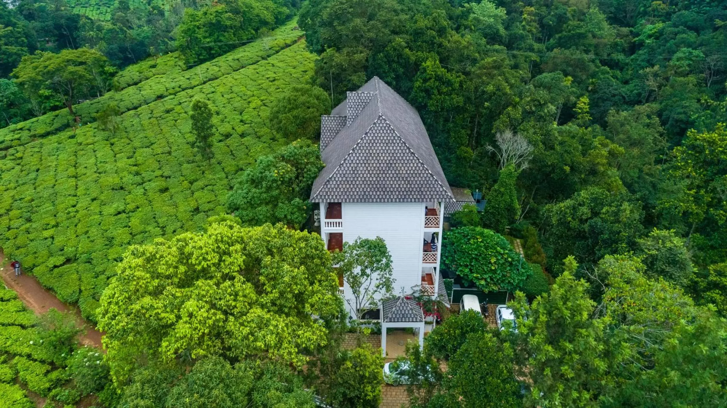 Property building in Tea Harvester