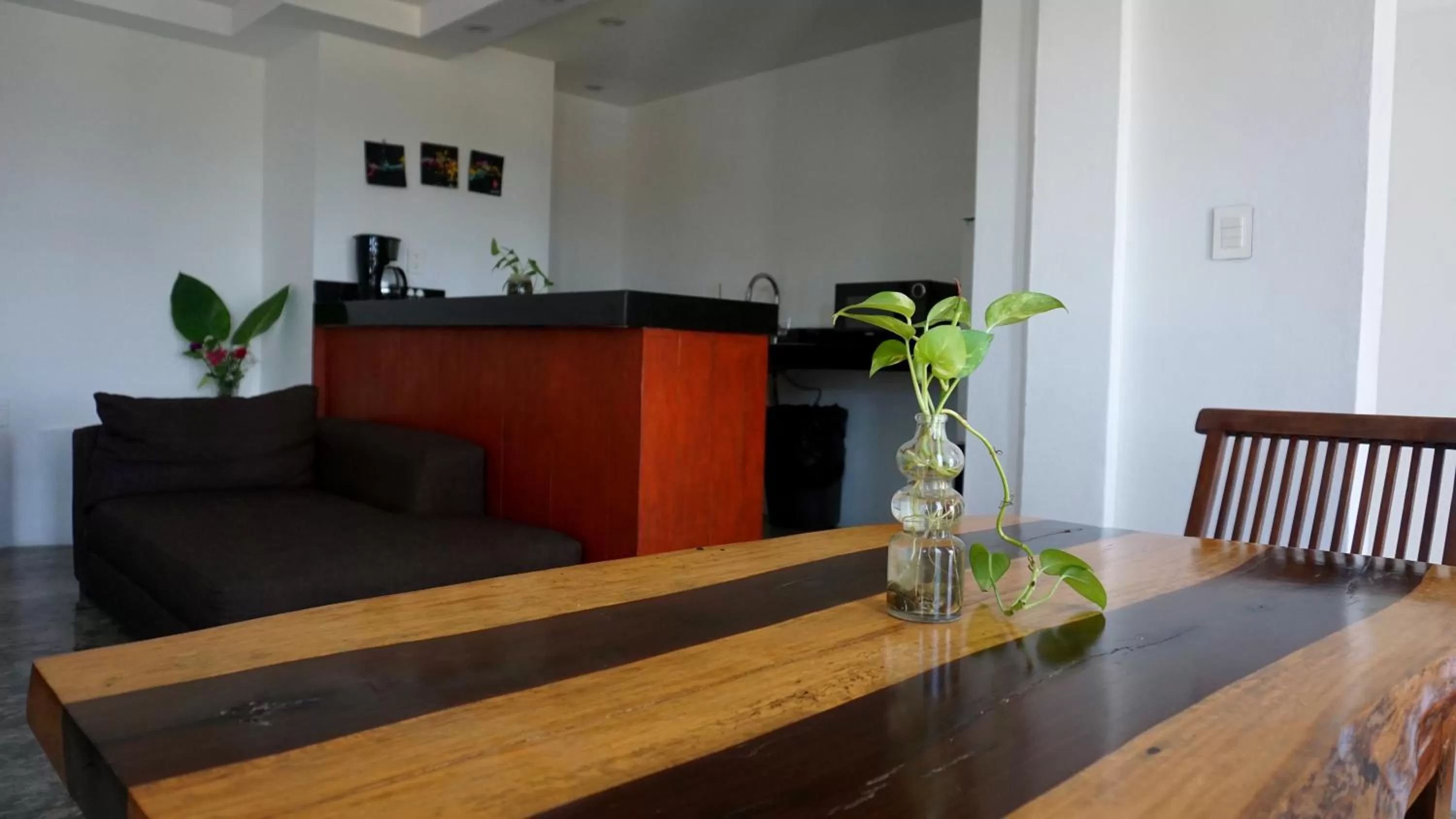 Living room, Lobby/Reception in Casa Ticul Hotel Boutique - 5Th Ave by BFH