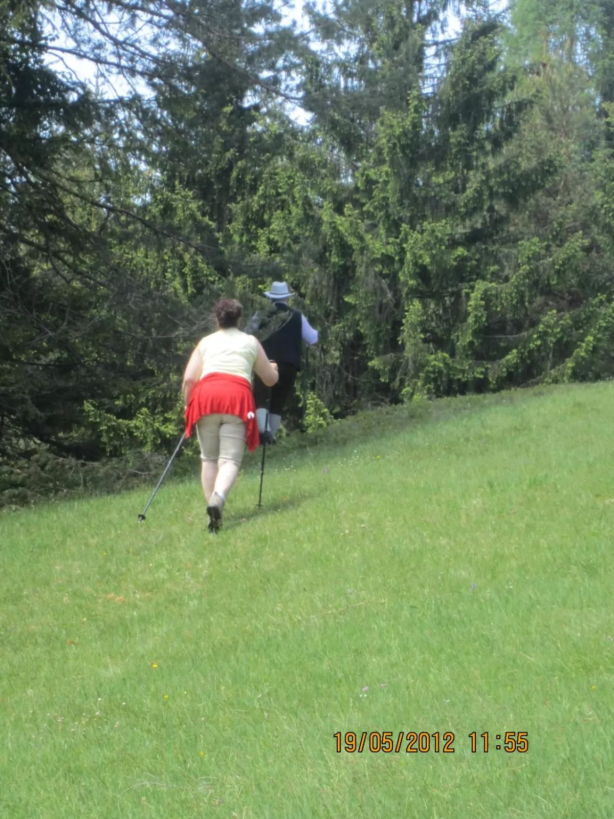 Hiking in Apparthotel Tom Sojer