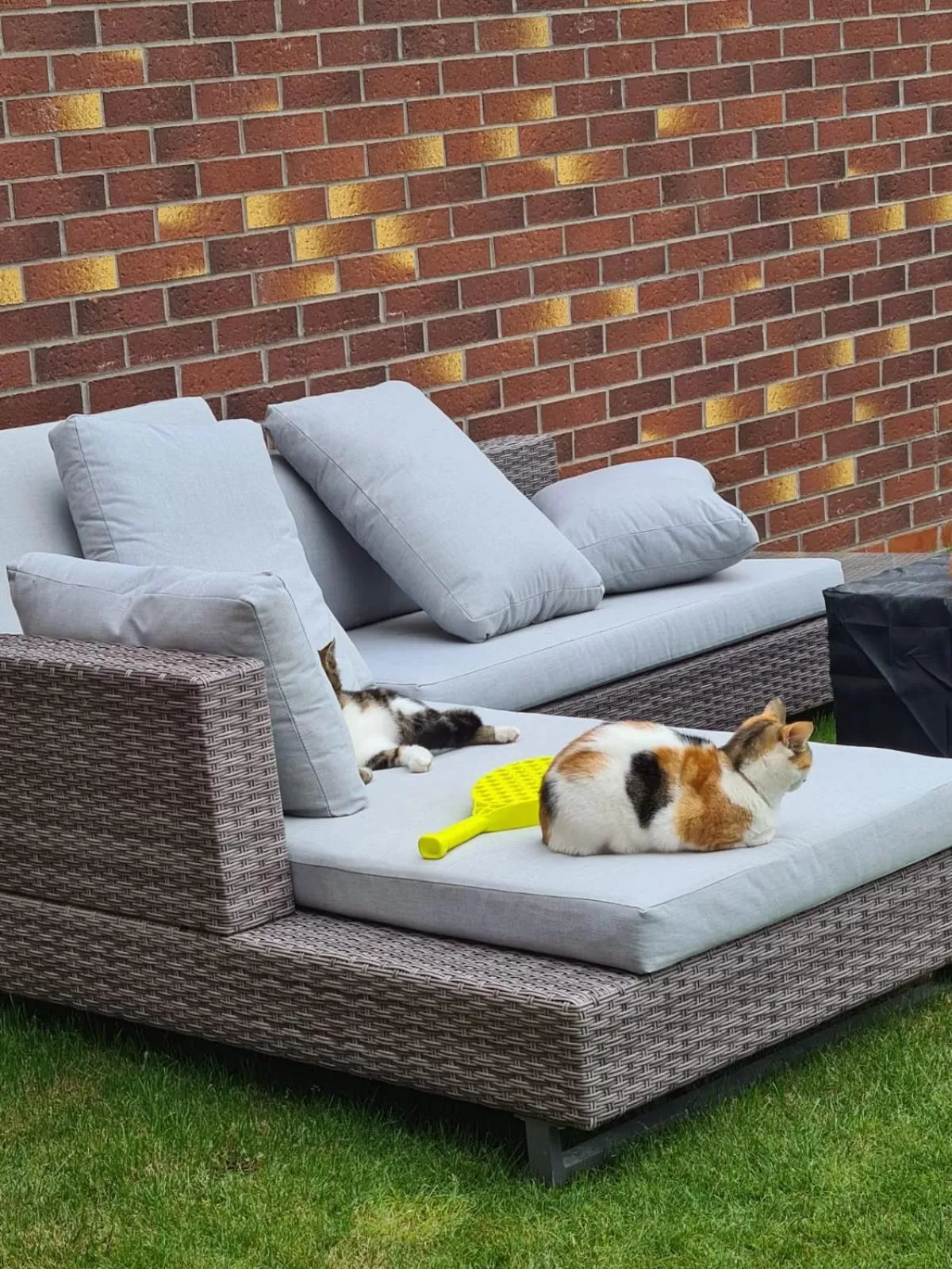 Garden in Ria's B n B