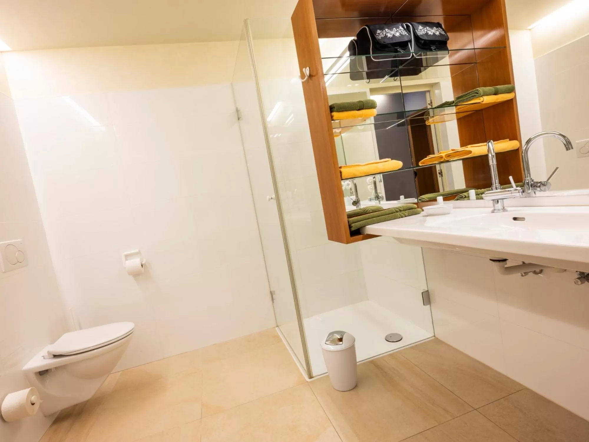 Shower, Bathroom in Die Schmiede