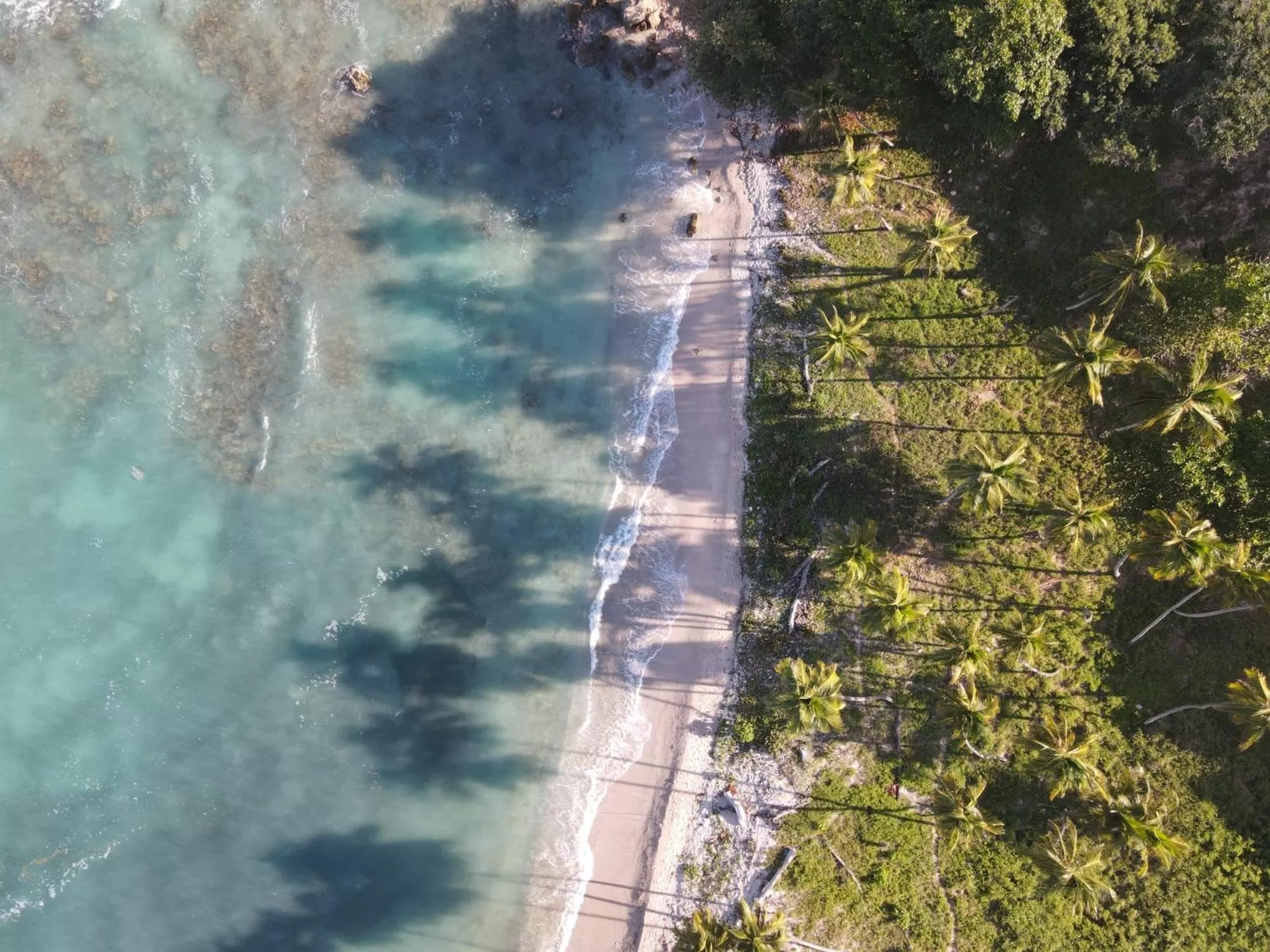 Bird's-eye View in Hotel Al Mare