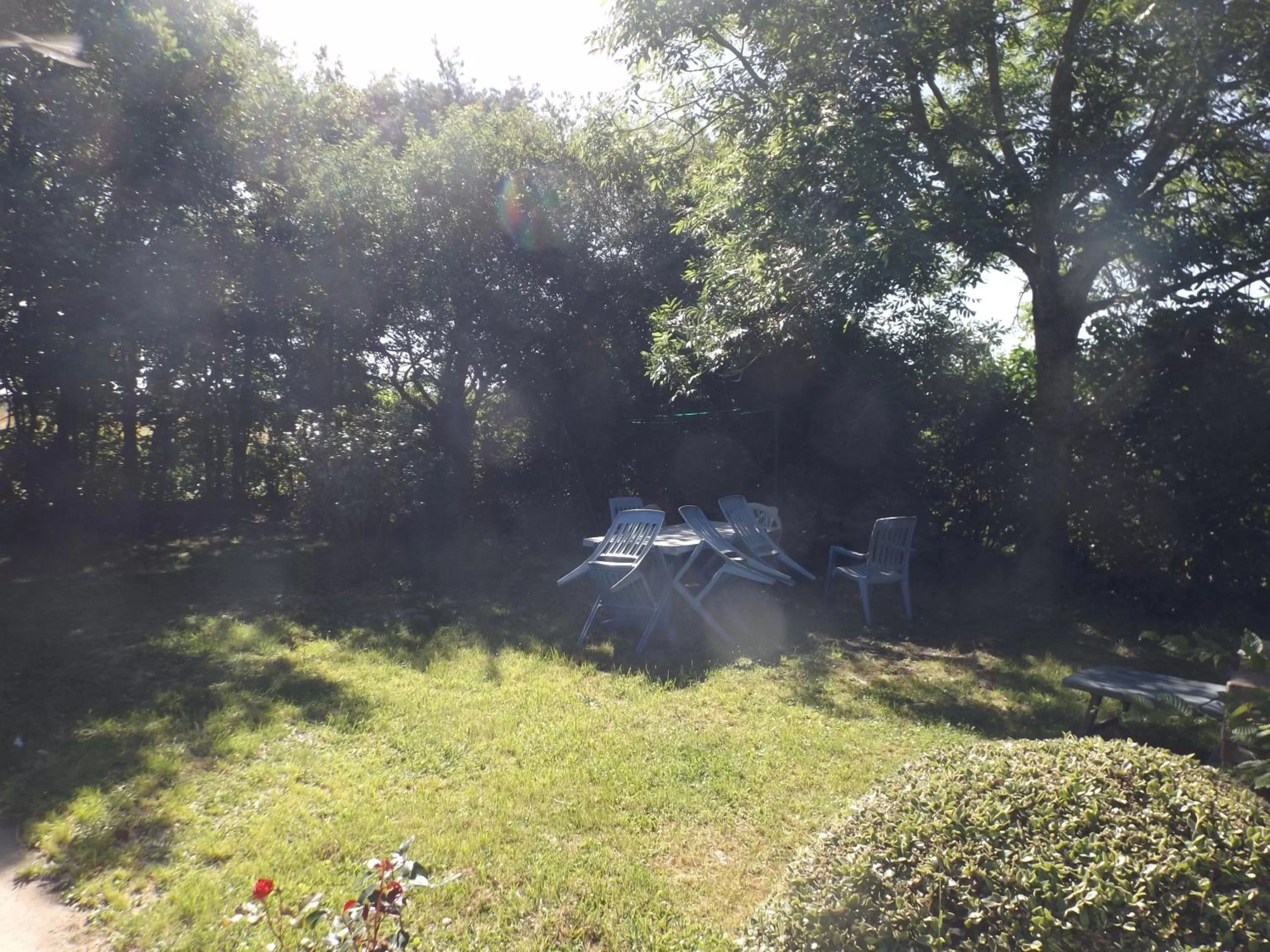 Les Eléphants bleus