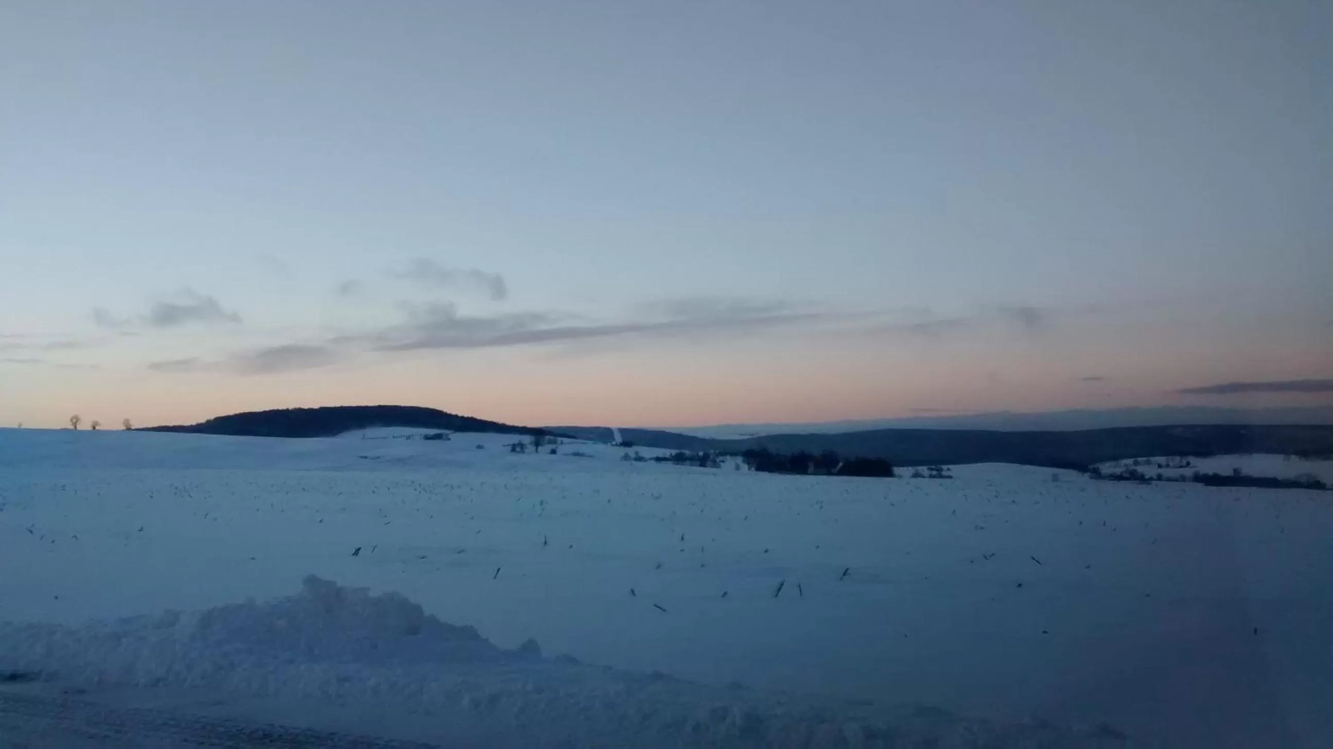 Neighbourhood in Waldgasthof Bad Einsiedel