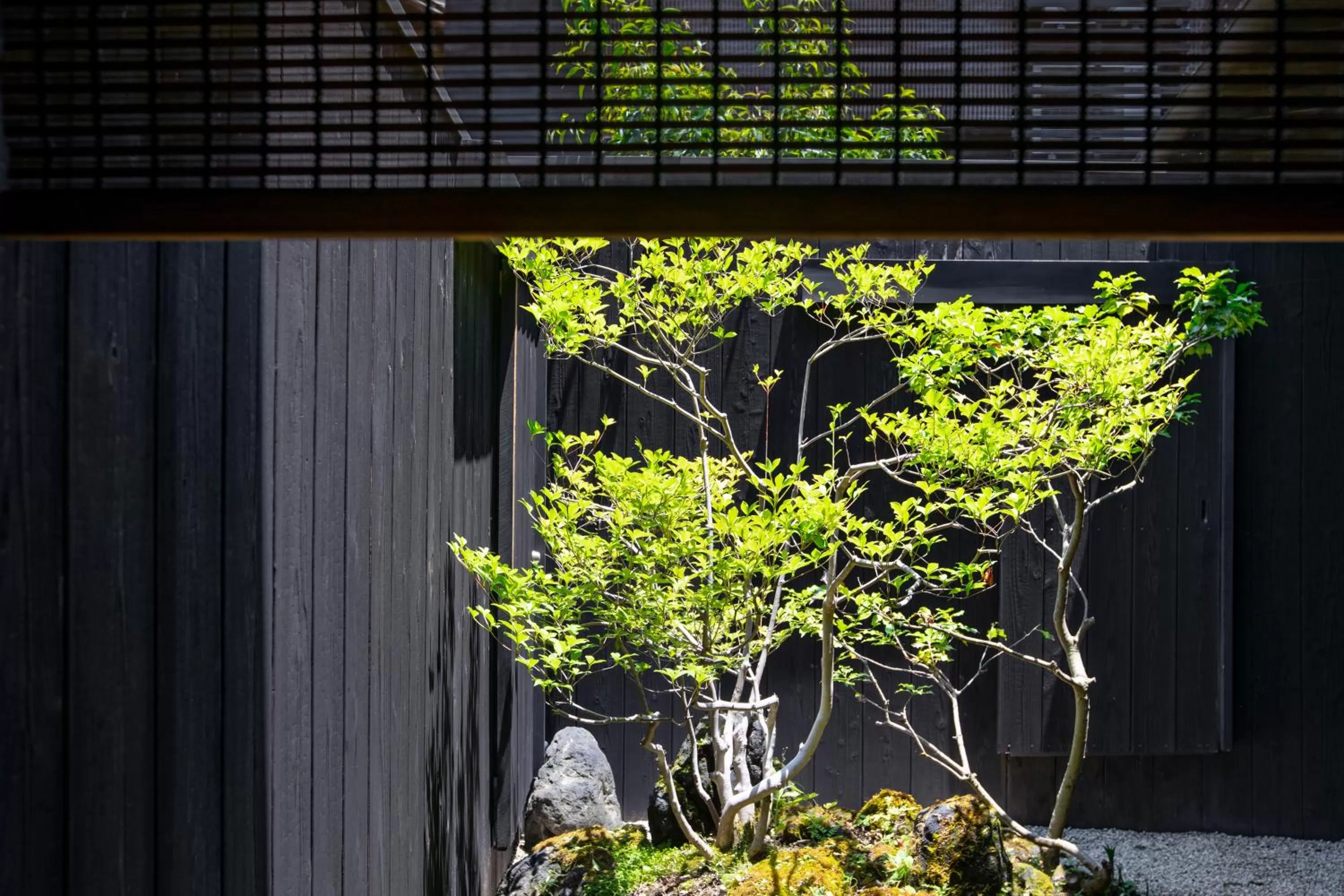 Other in Rinn Machiya Kuon