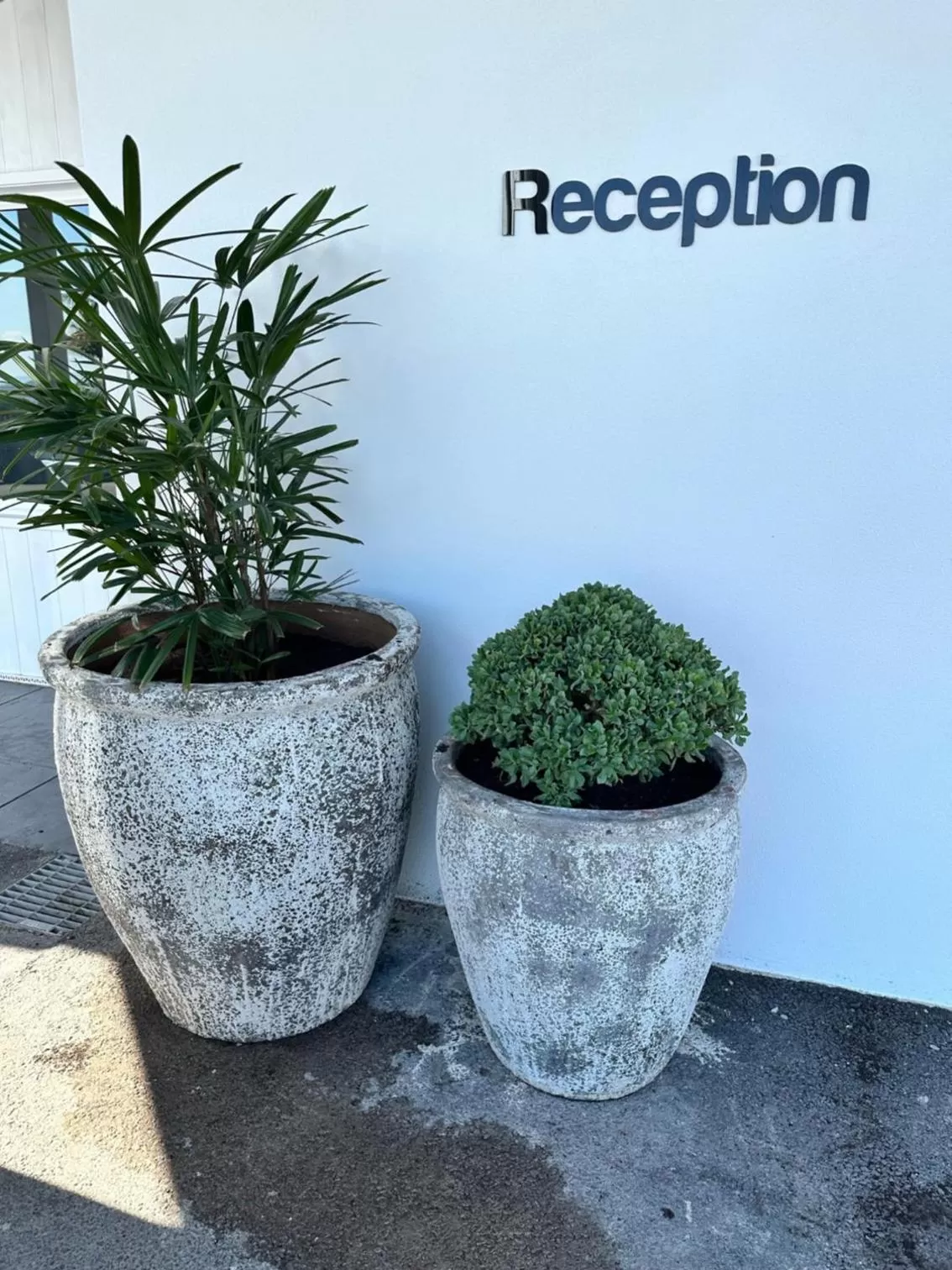 Property building in Surf Beach Motel Newcastle