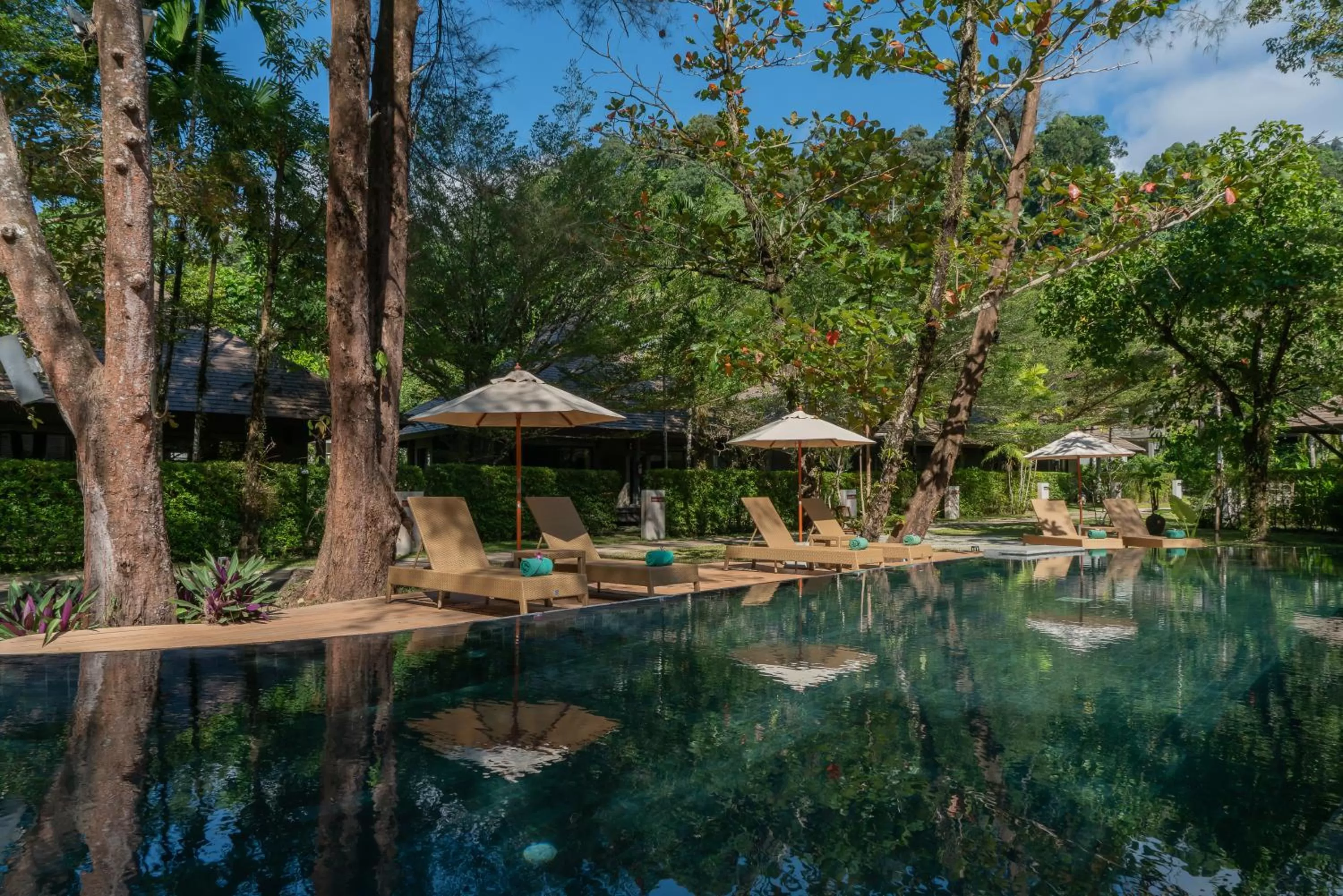 Pool view in Khaolak Wanaburee Resort - SHA Extra Plus