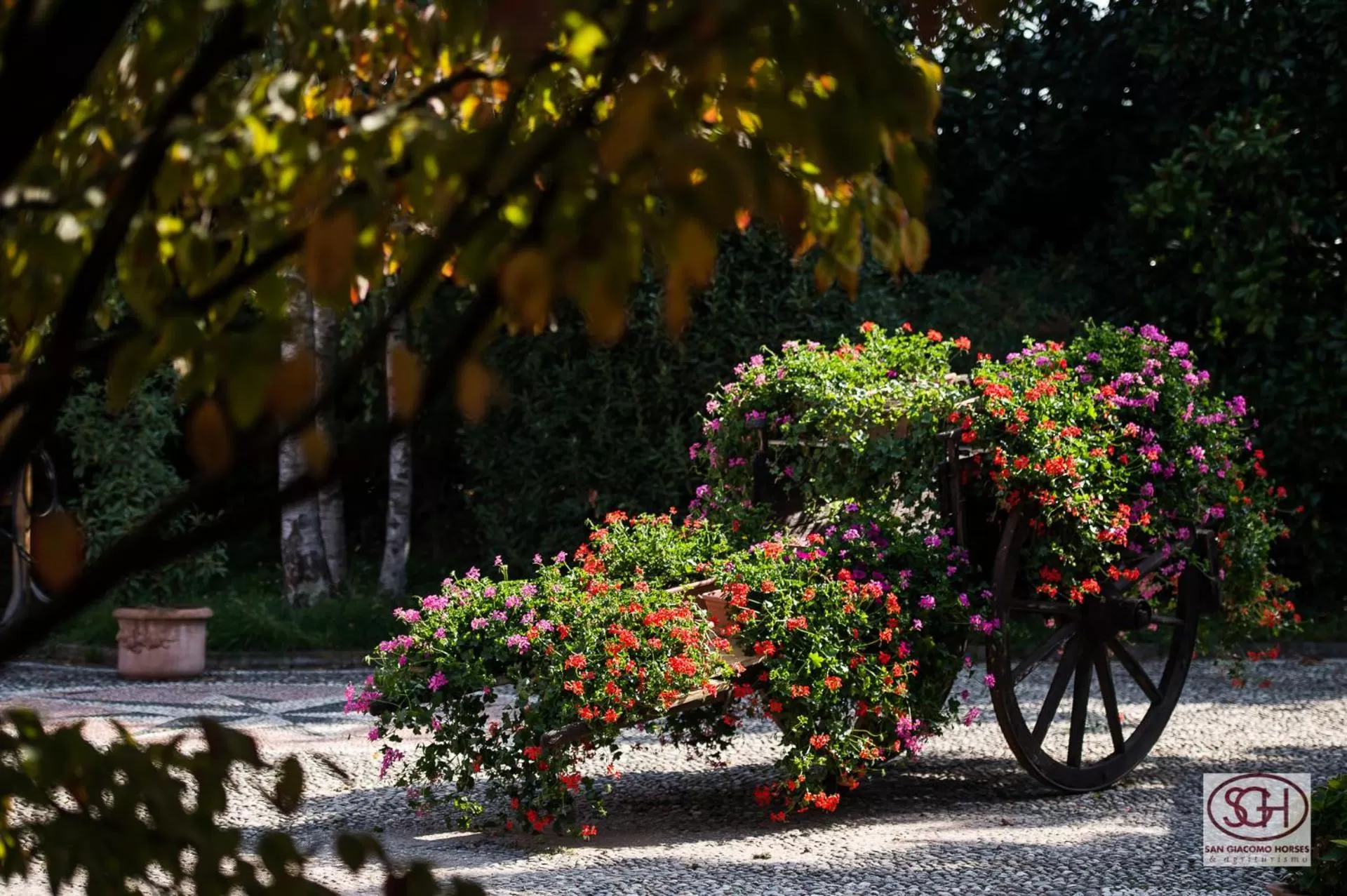Garden in San Giacomo Horses & Agriturismo