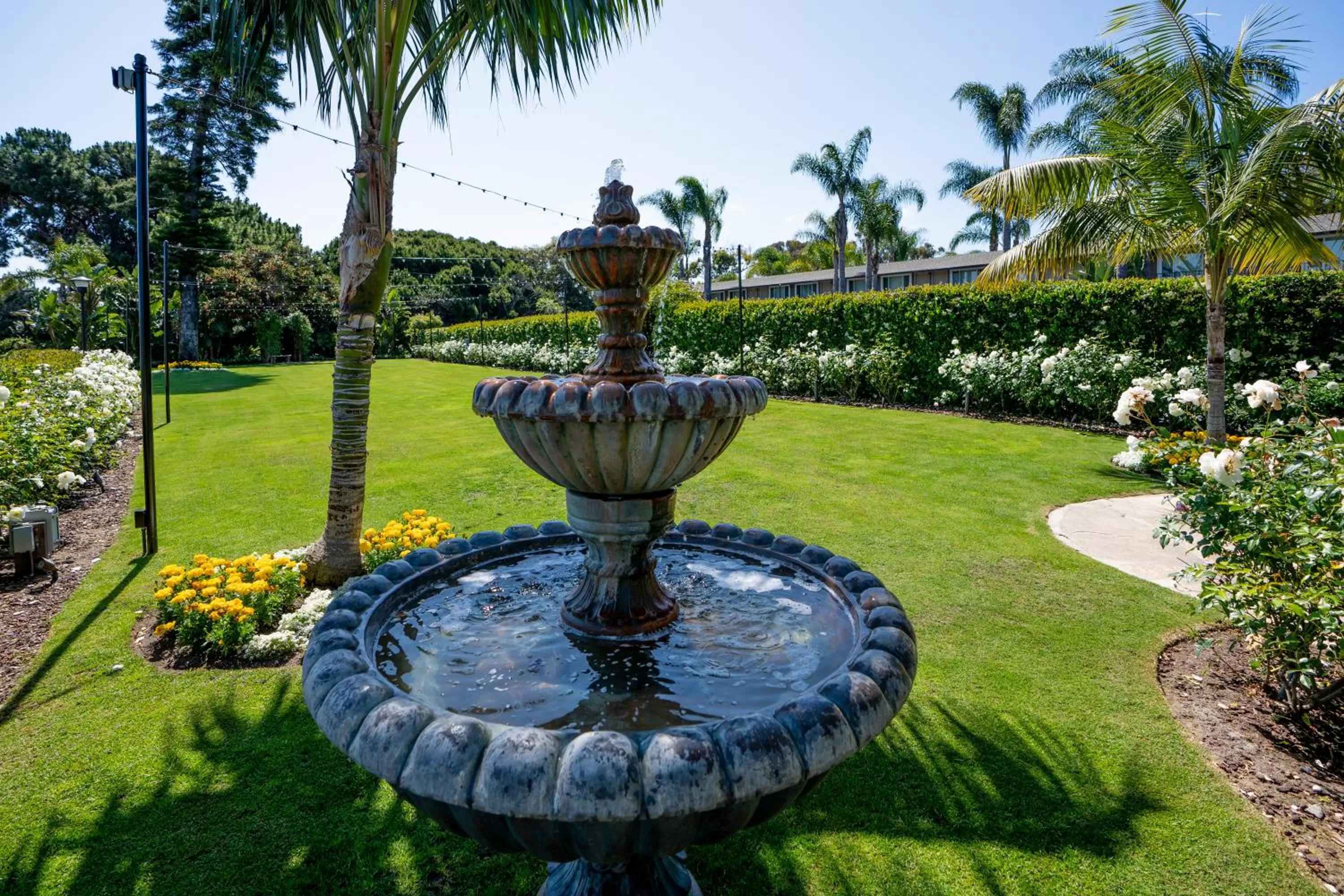 Garden in The Dana on Mission Bay