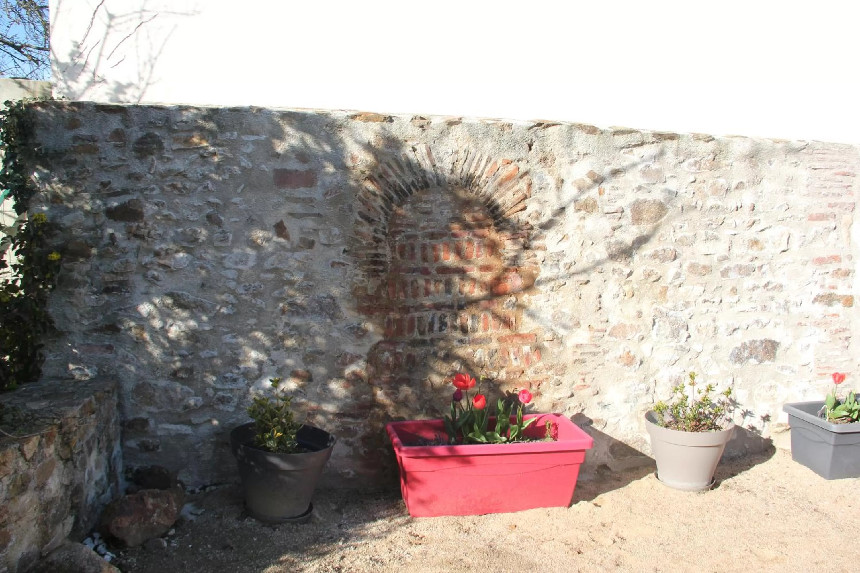 Garden in Château Besson