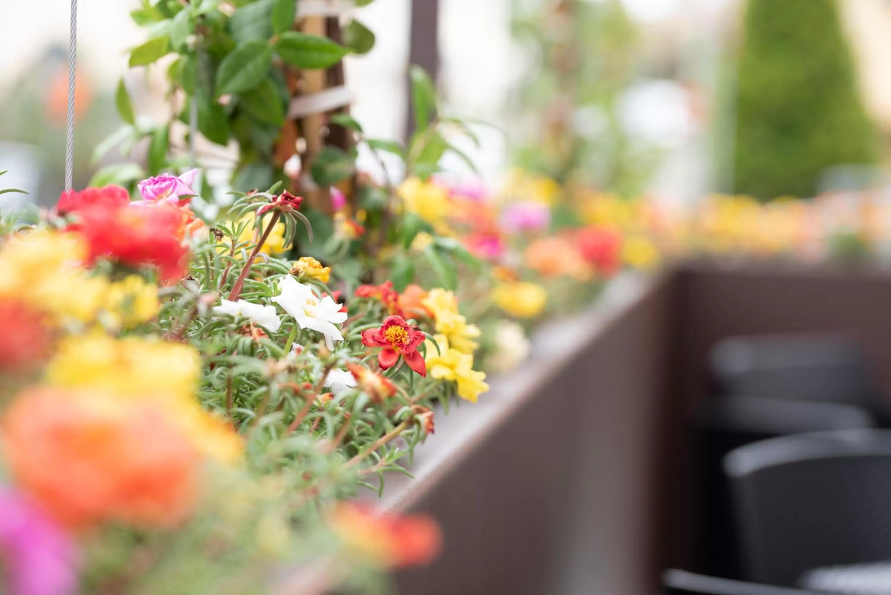 Garden in Casa Ercoli B&B