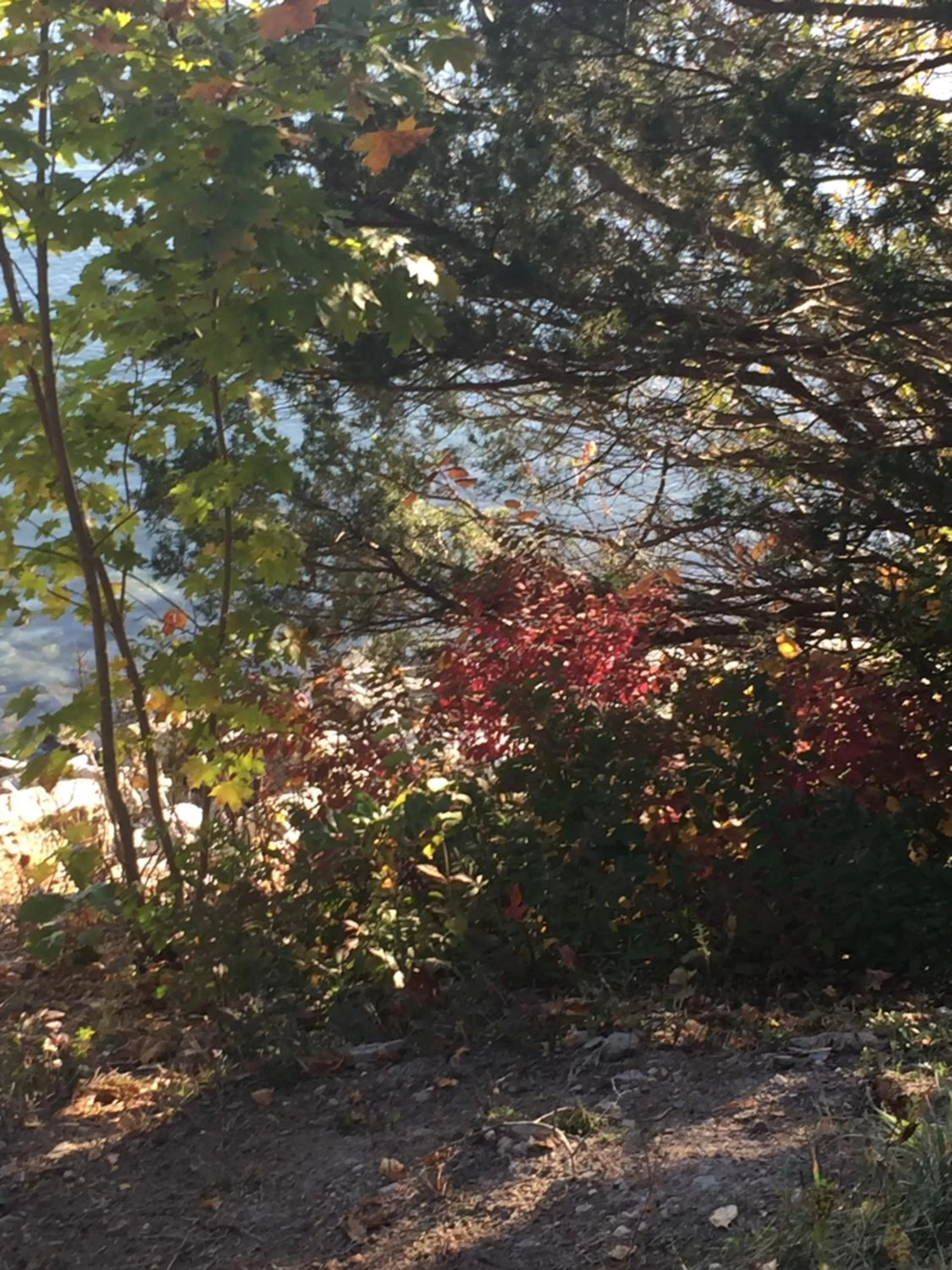 Inn 38 Oak Bluff Circle