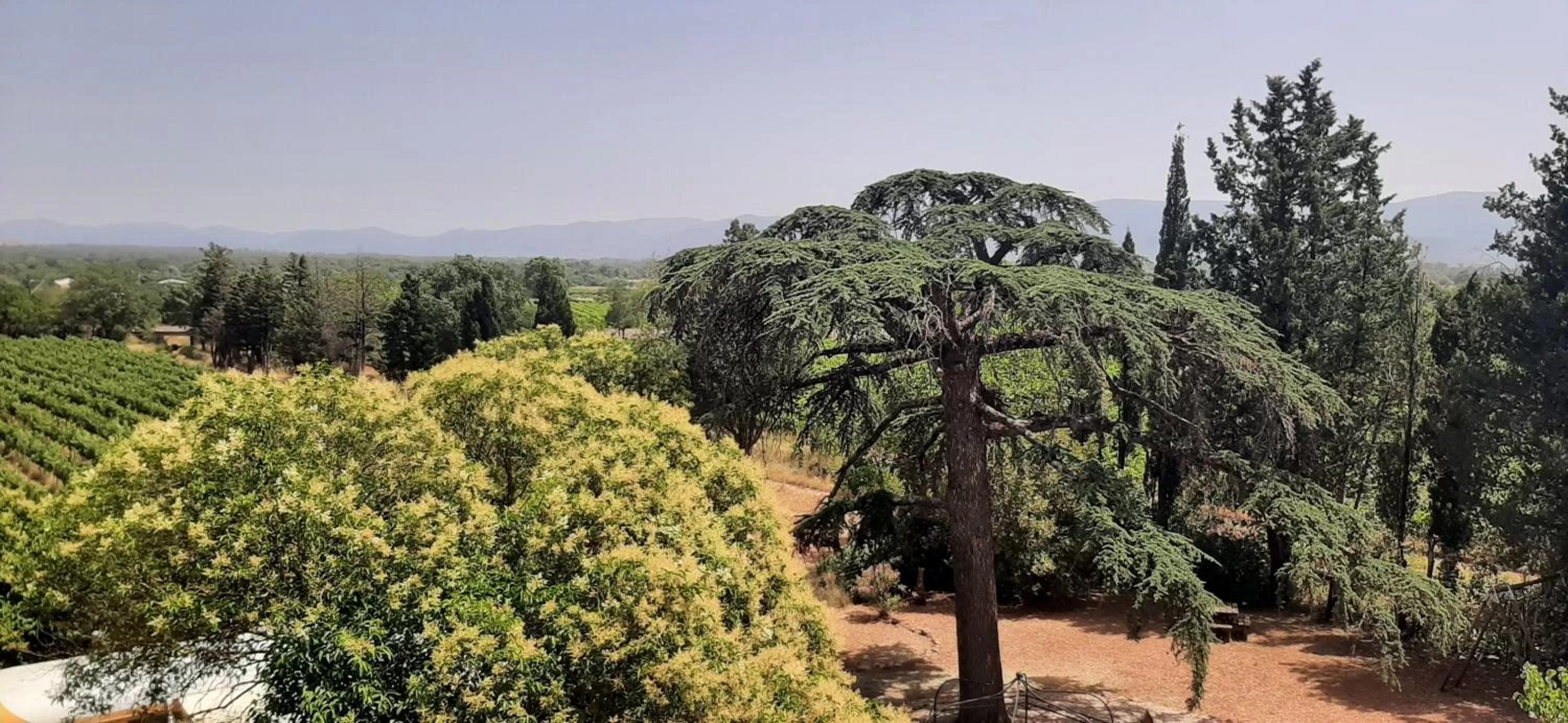 Garden view in Bed and Breakfast La Grande Lauzade