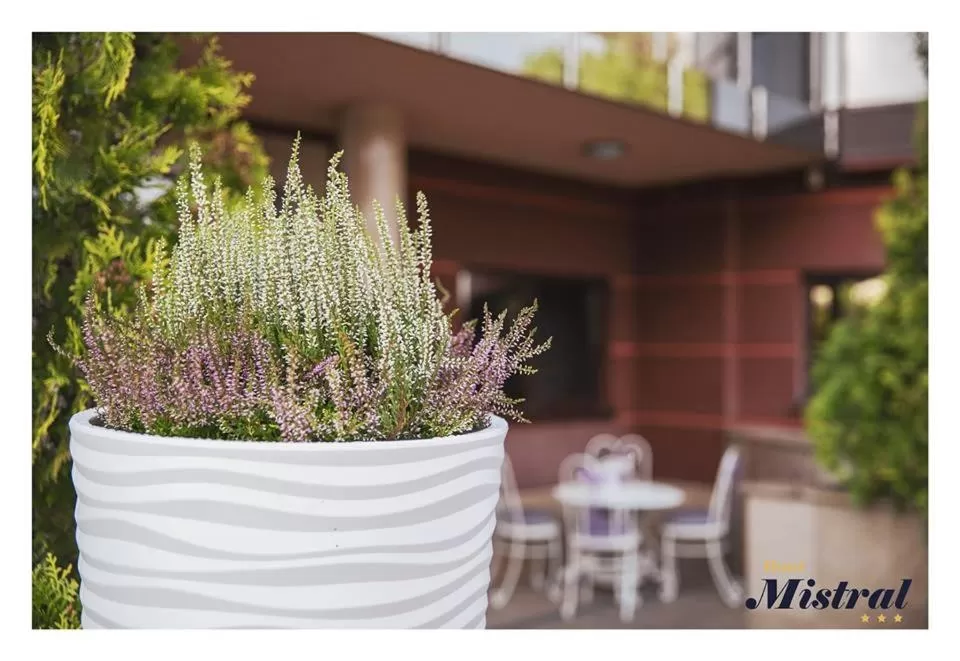 Property building in Hotel Mistral