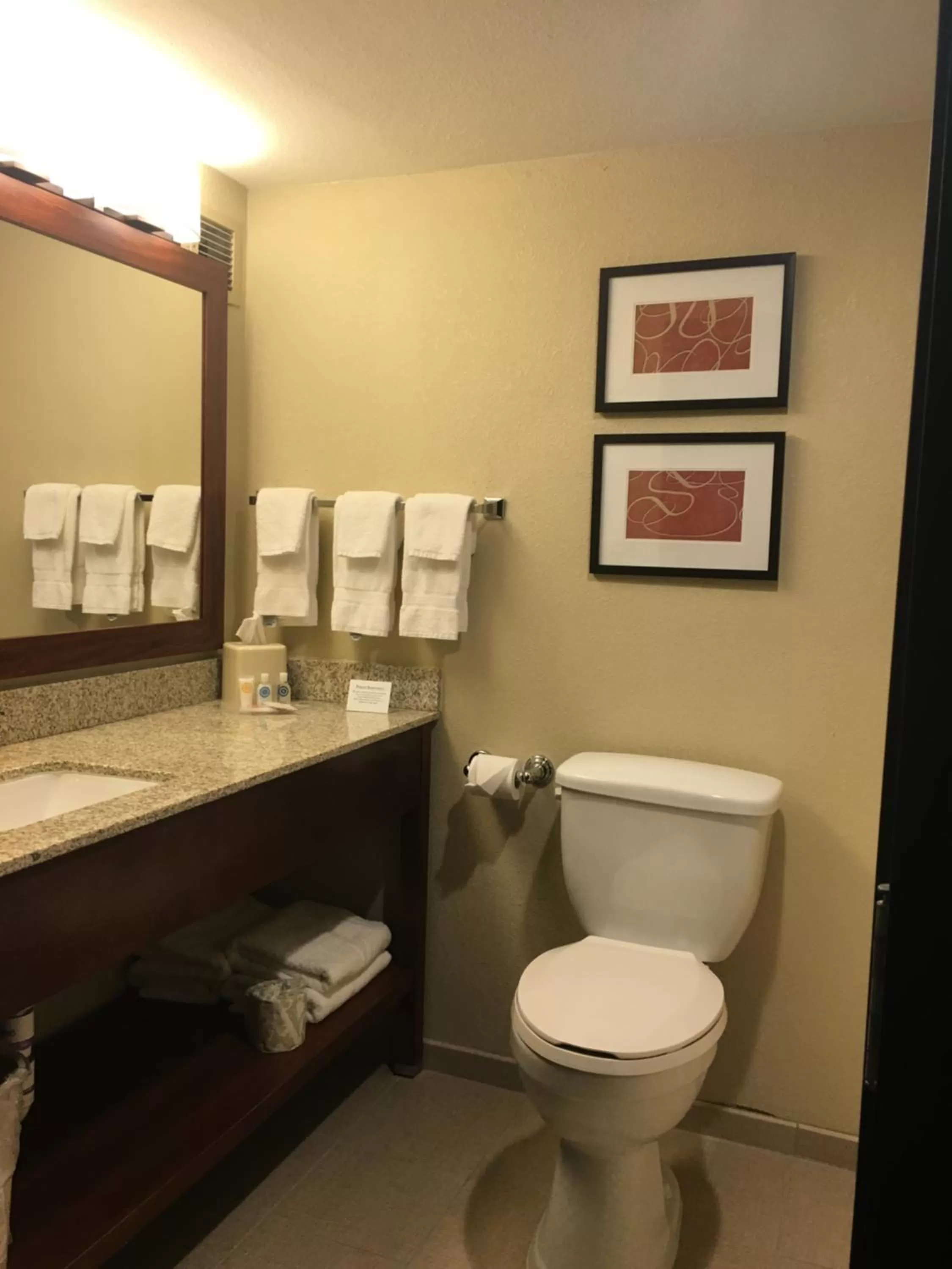 Guests in Comfort Suites Near Potomac Mills