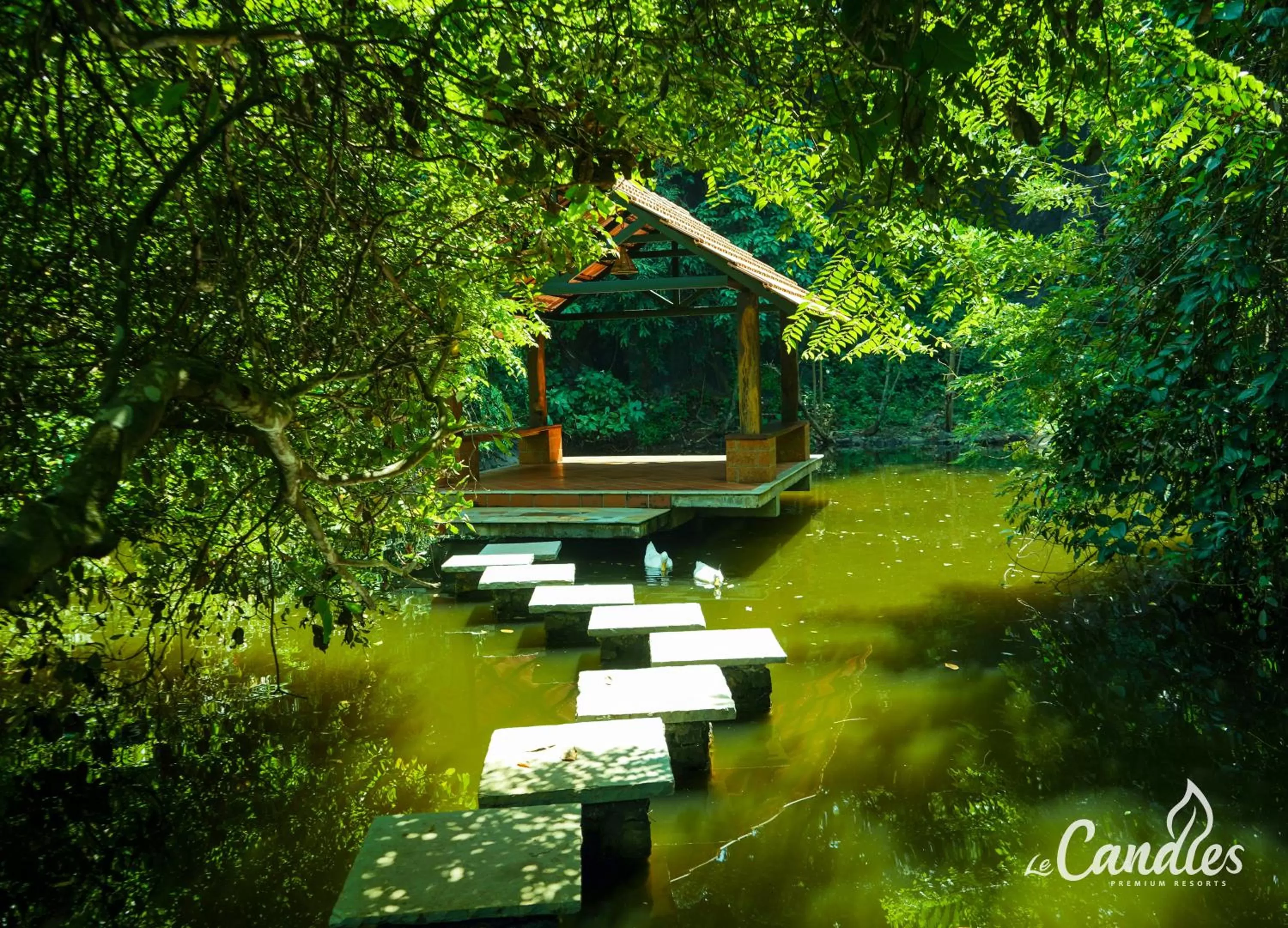 Fishing in Le Candles Resort