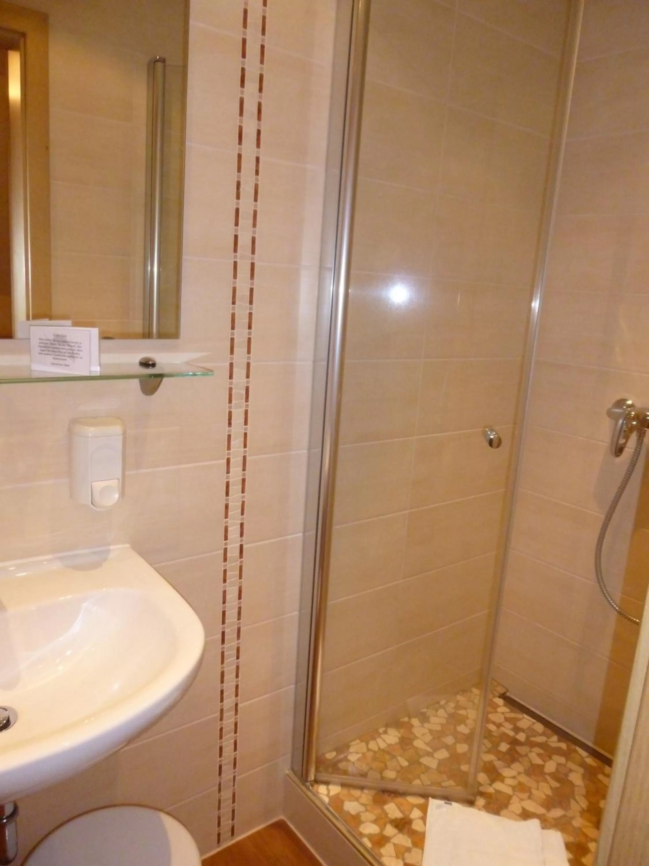 Shower, Bathroom in Hotel Schwarzwald-Gasthof Rößle