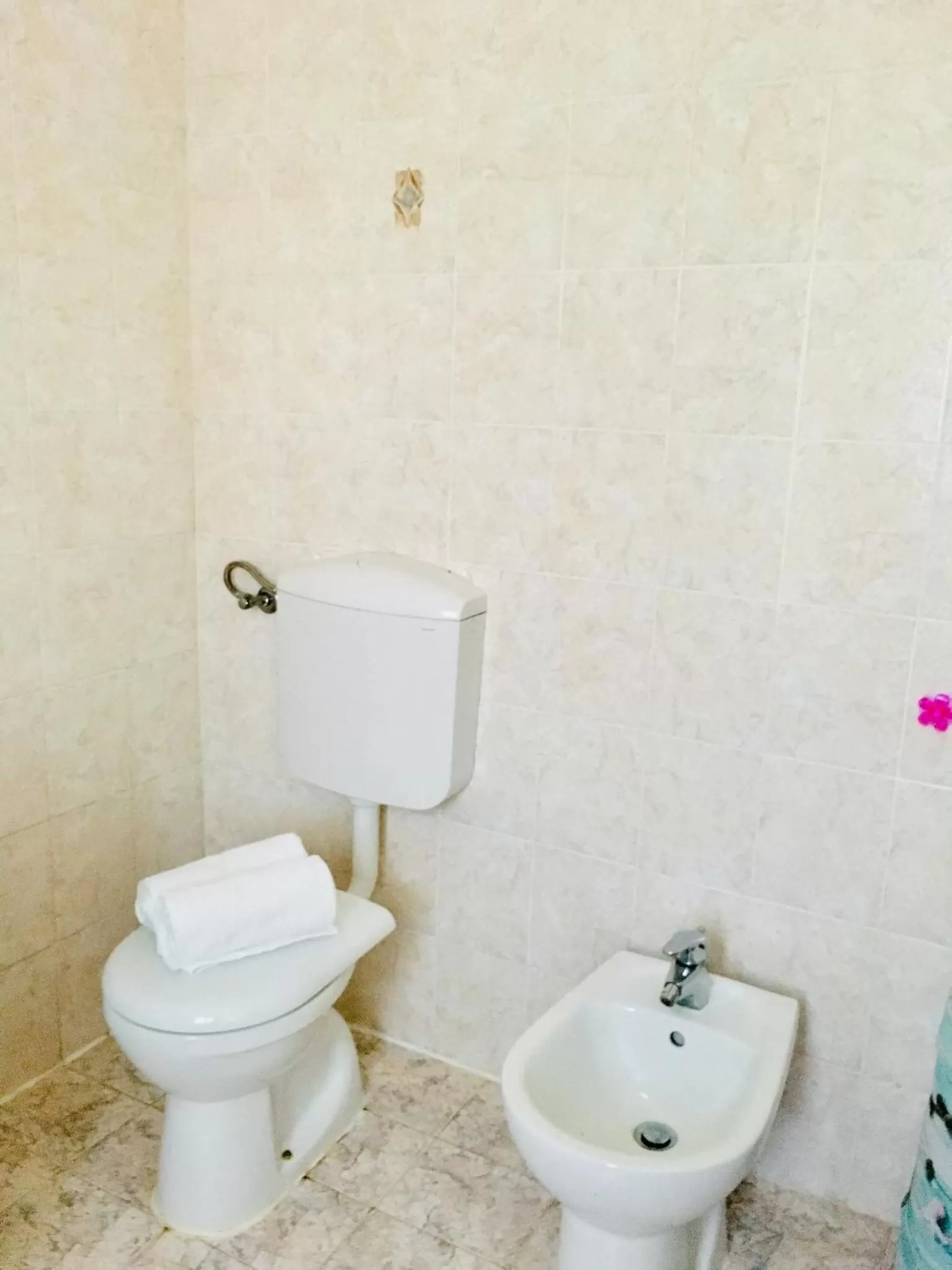 Rossella alla Villarella dei Tulipani