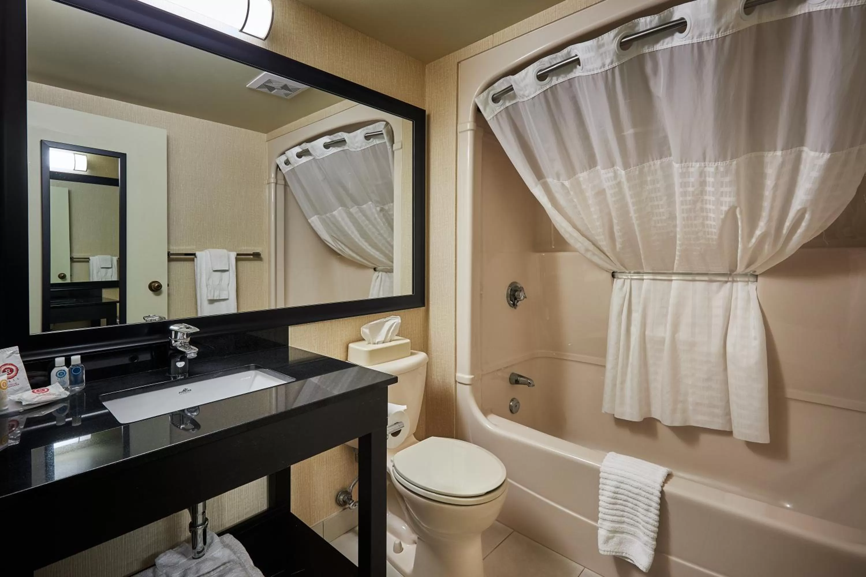 Bathroom in Comfort Inn