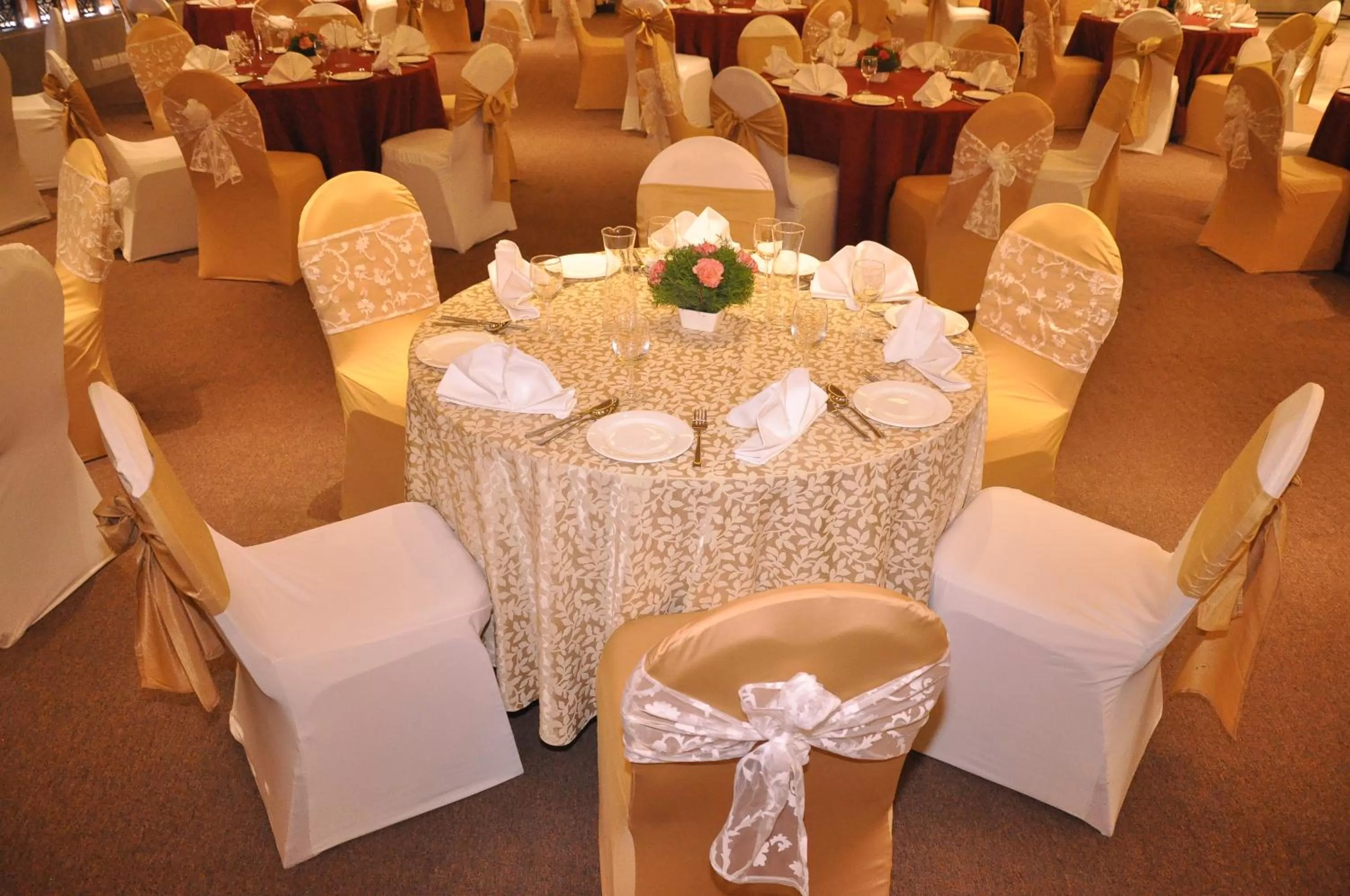 Banquet/Function facilities in Radisson Hotel Shimla