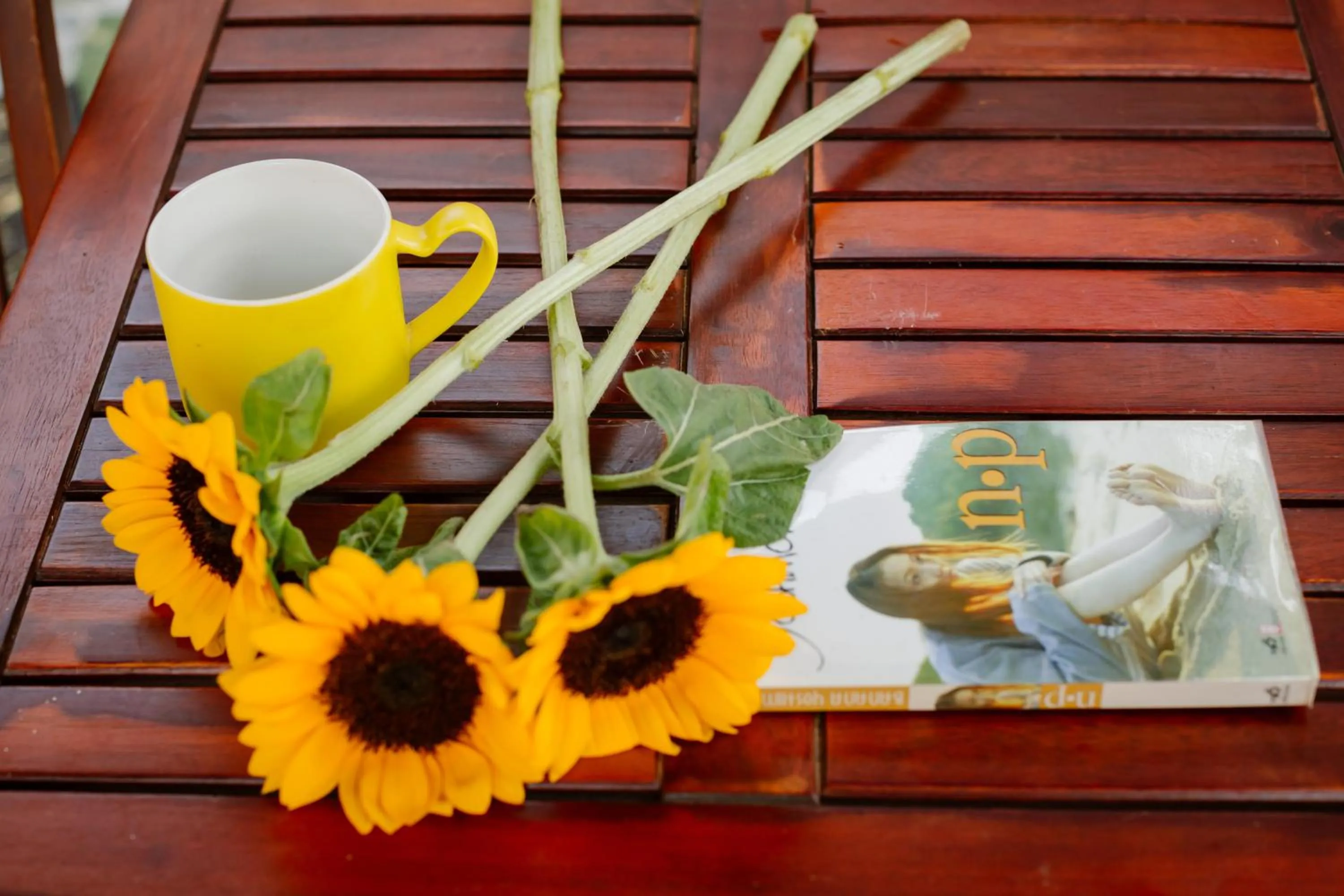 Property building in Windbell Villa Hoi An