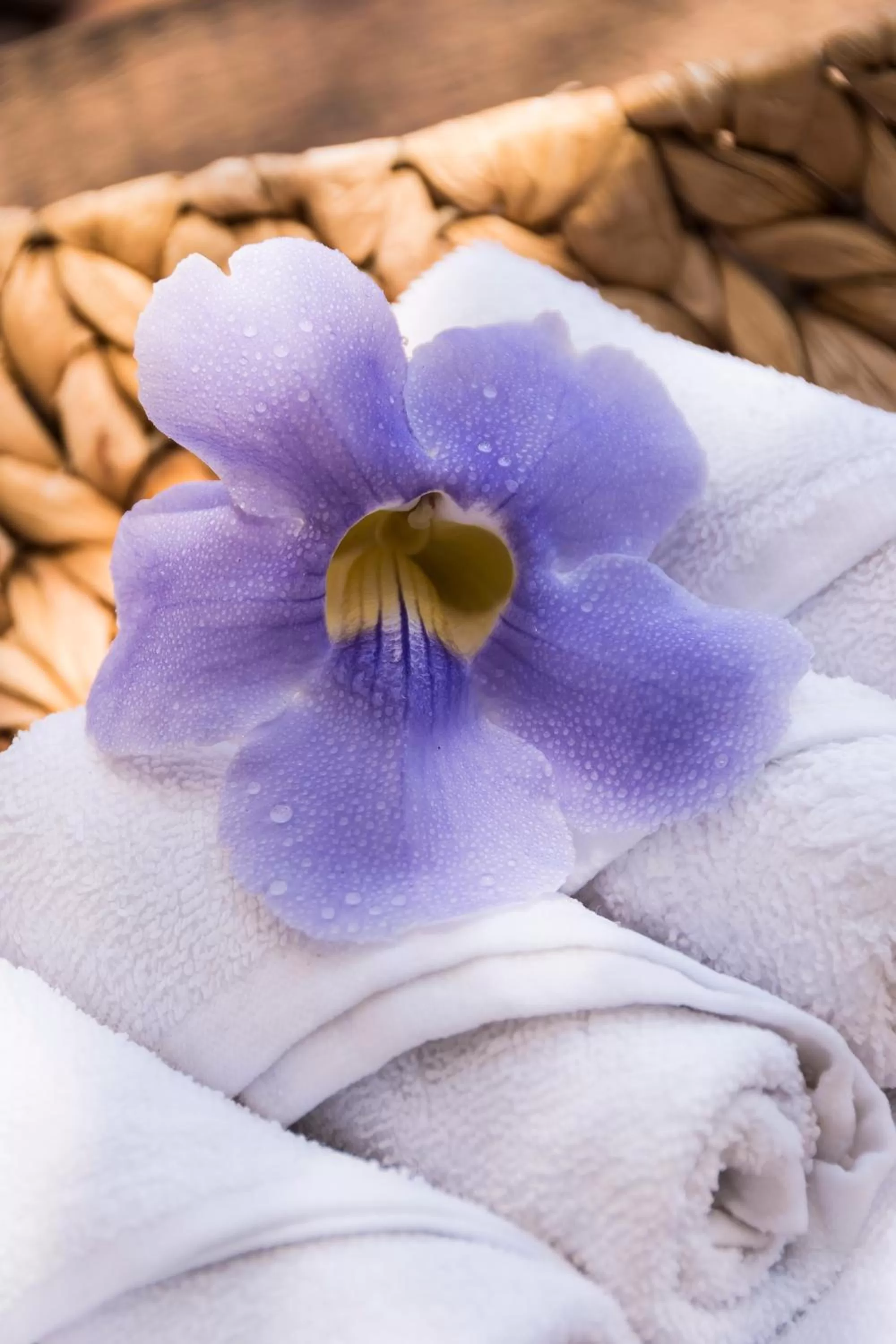 Swimming pool in Grand Matlali Suites & Villas Riviera Nayarit