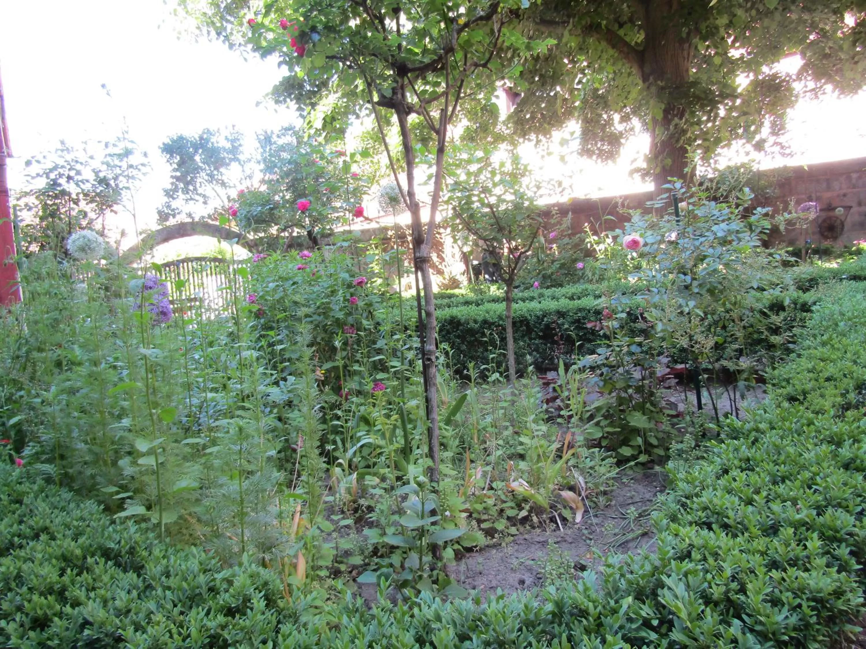 Garden in Hotel und Gasthof Ritter St. Georg