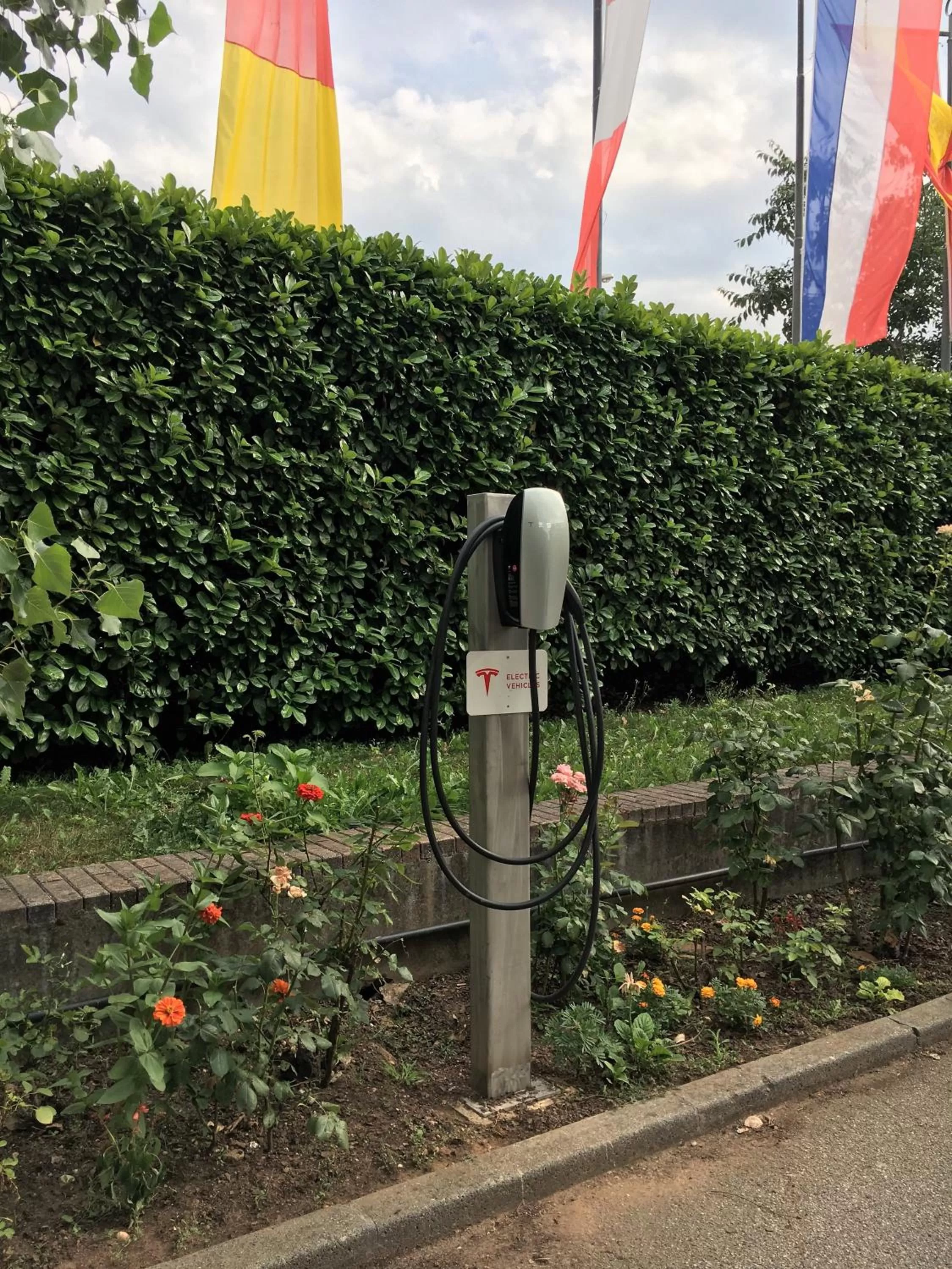 Activities in Hotel Saccardi & Spa - Adults Only